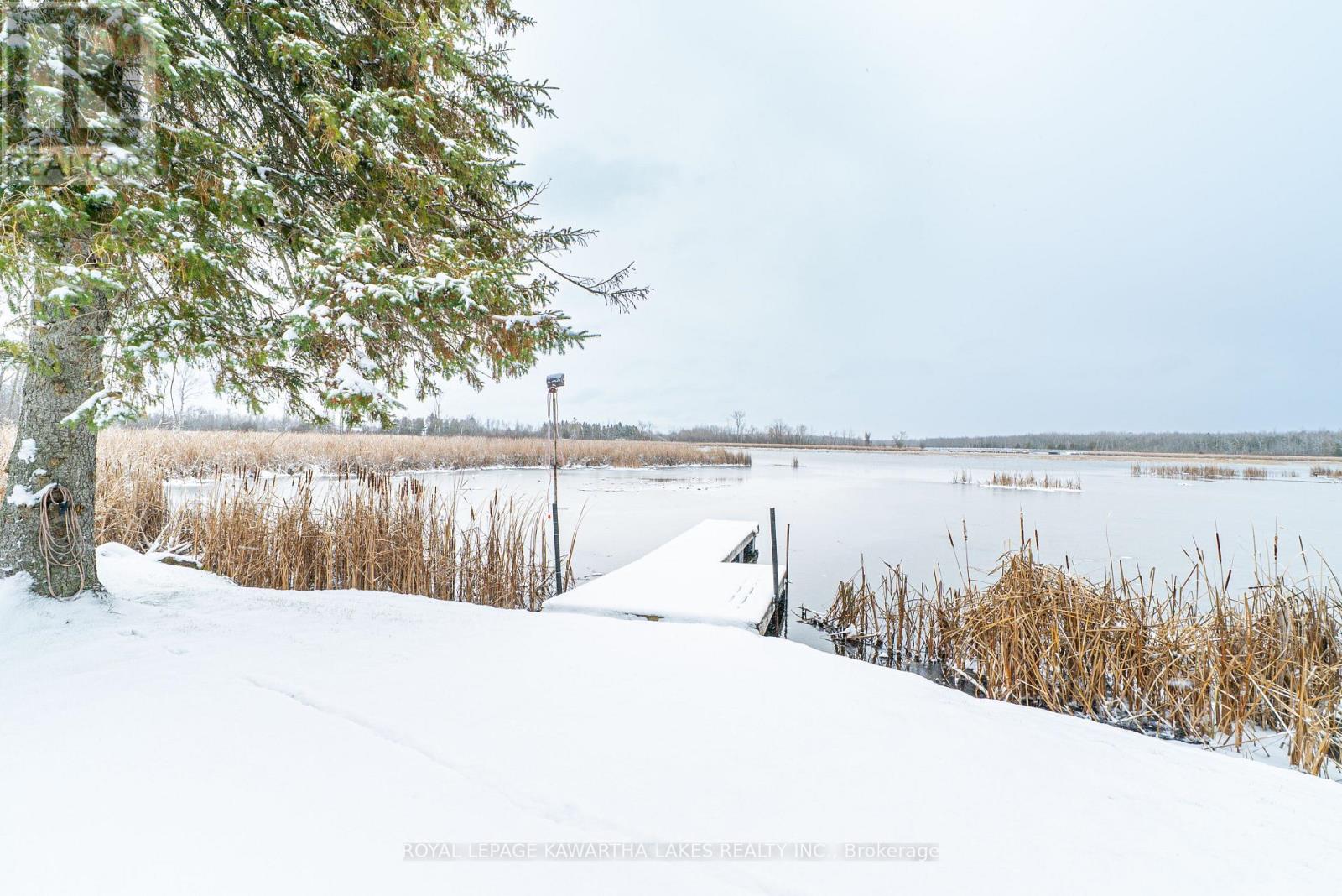 1 Bridle Road, Kawartha Lakes (Ops), Ontario  K9V 4R2 - Photo 45 - X12590478