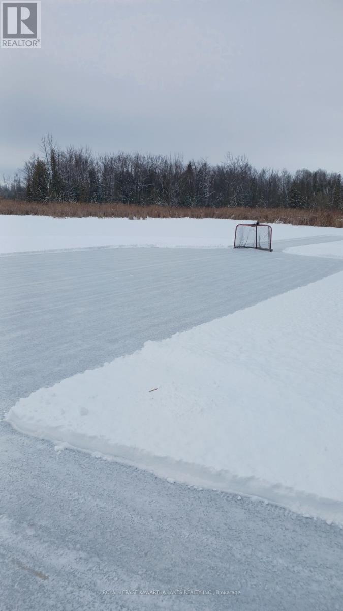 1 Bridle Road, Kawartha Lakes (Ops), Ontario  K9V 4R2 - Photo 48 - X12590478