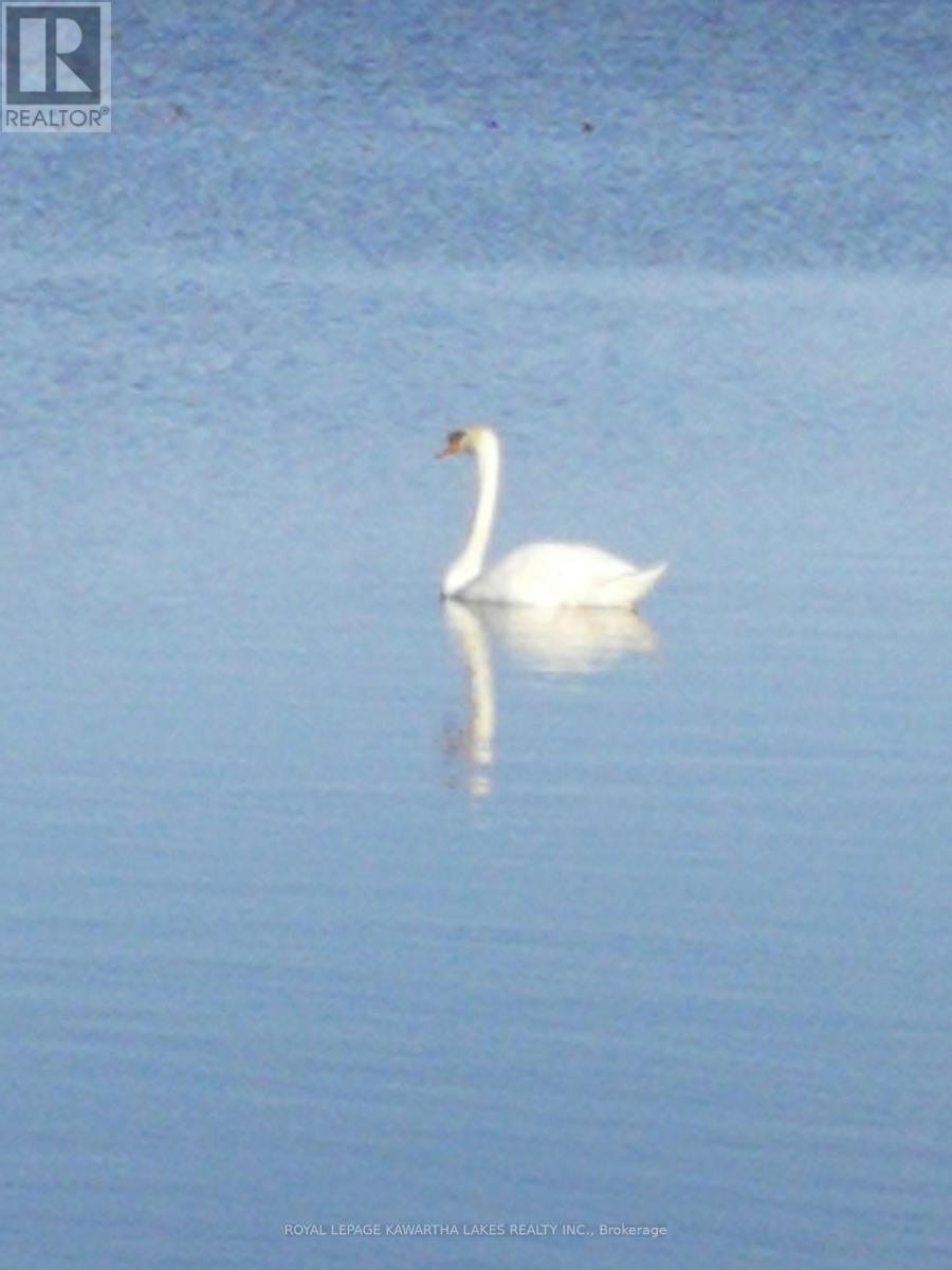 1 Bridle Road, Kawartha Lakes (Ops), Ontario  K9V 4R2 - Photo 49 - X12590478