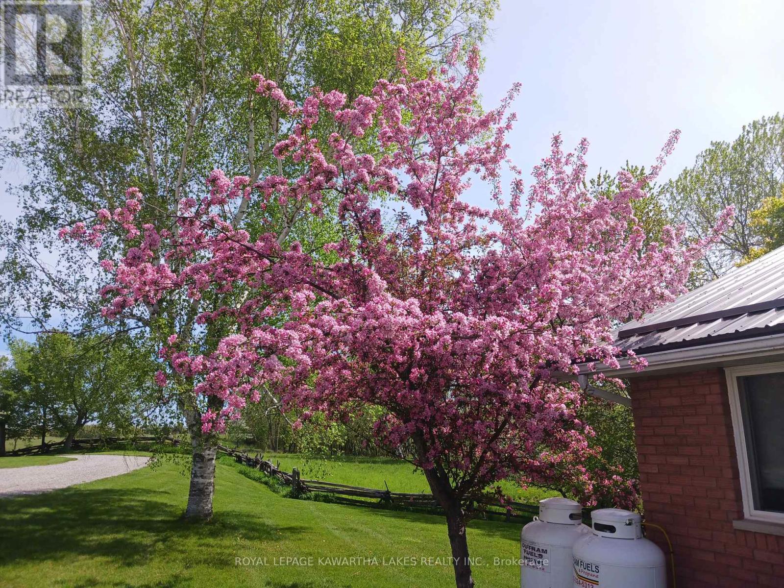 1 Bridle Road, Kawartha Lakes (Ops), Ontario  K9V 4R2 - Photo 50 - X12590478