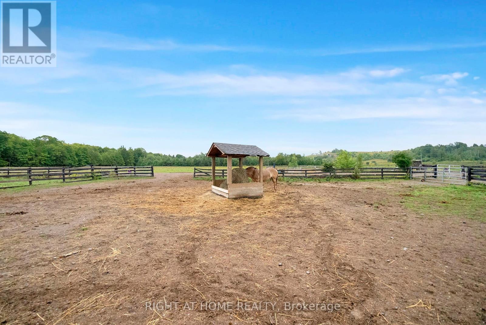 6265 Regional Road 18 Road, Clarington, Ontario  L0A 1J0 - Photo 38 - E12593220