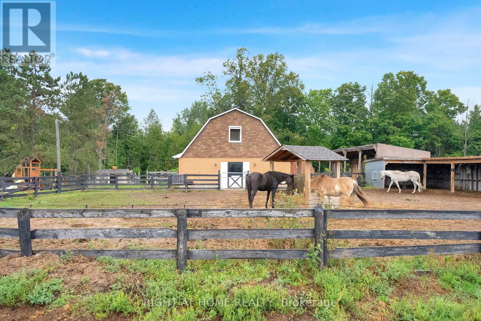 6265 Regional Road 18 Road, Clarington, Ontario  L0A 1J0 - Photo 42 - E12593220