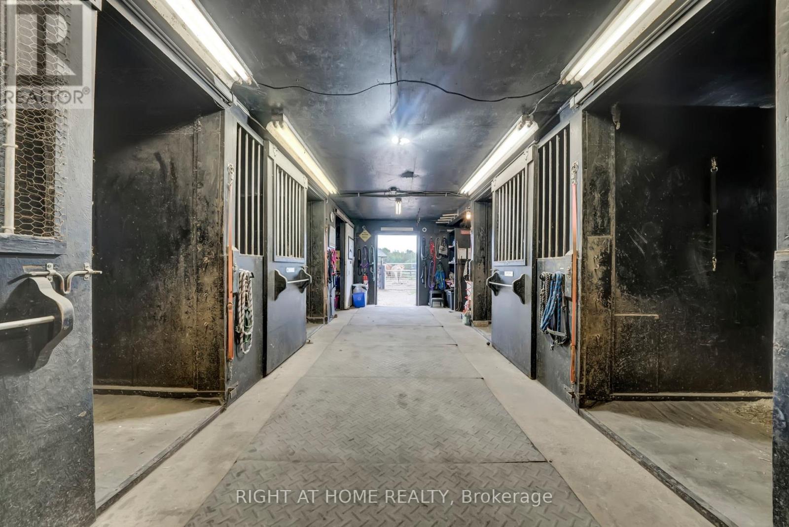 6265 Regional Road 18 Road, Clarington, Ontario  L0A 1J0 - Photo 44 - E12593220