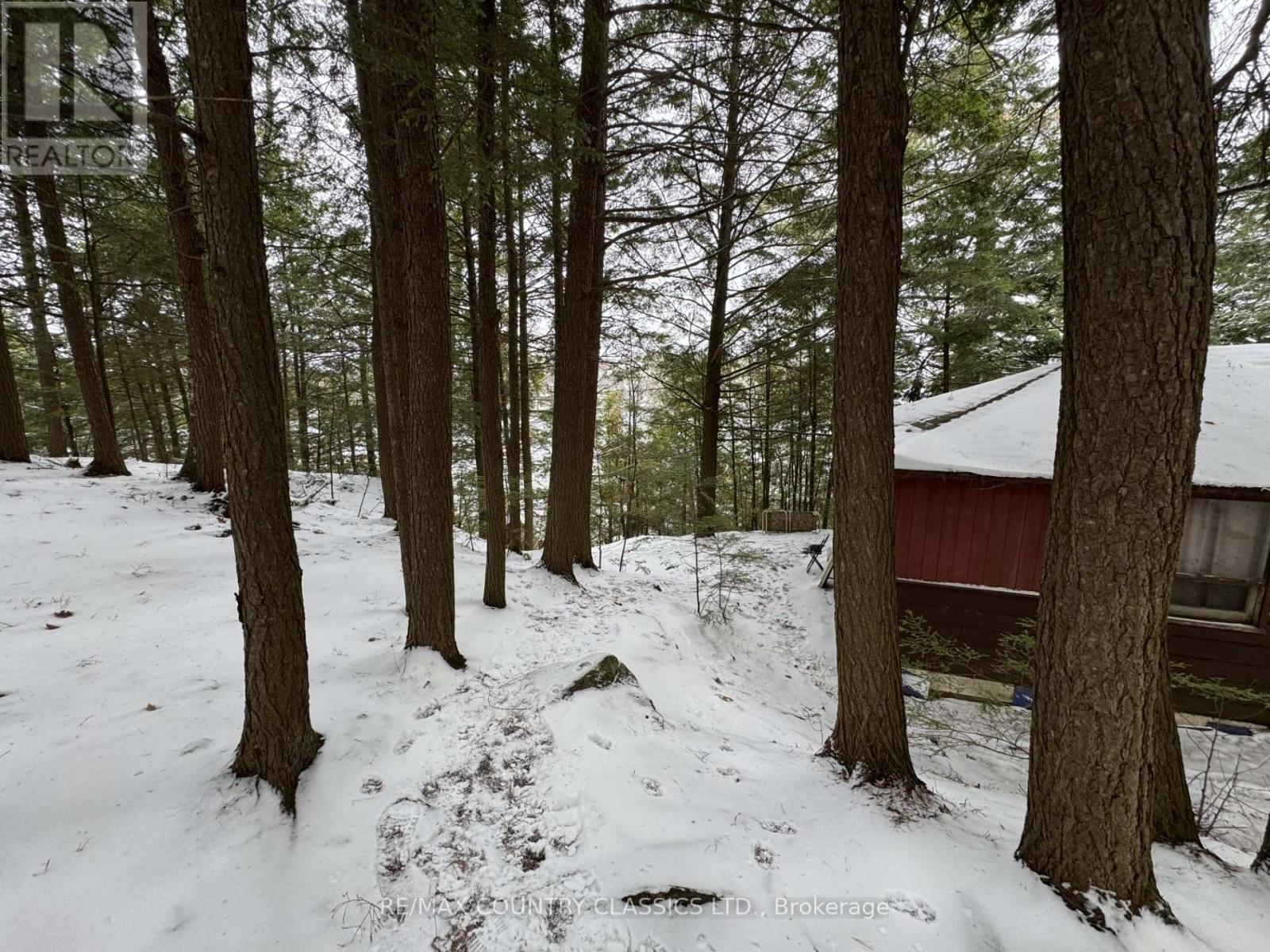 34 Kingfisher Lane, North Kawartha, Ontario  K0L 1A0 - Photo 7 - X12594374