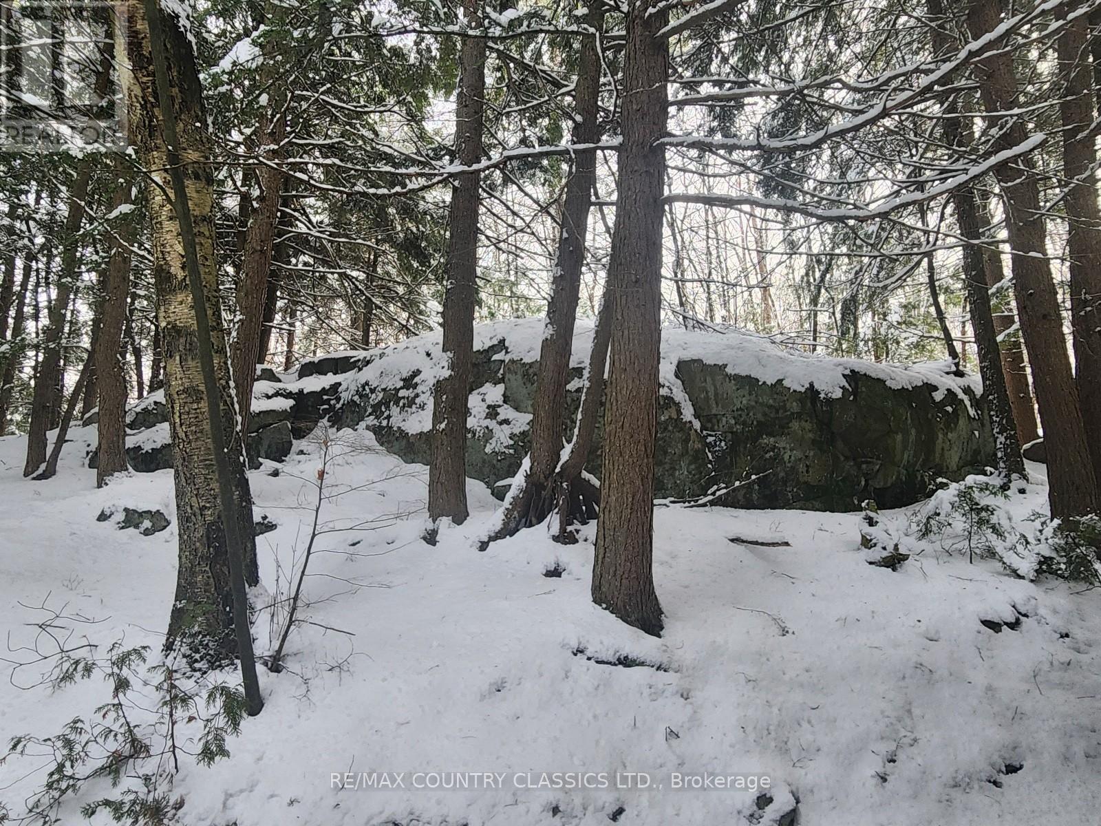 34 Kingfisher Lane, North Kawartha, Ontario  K0L 1A0 - Photo 9 - X12594374