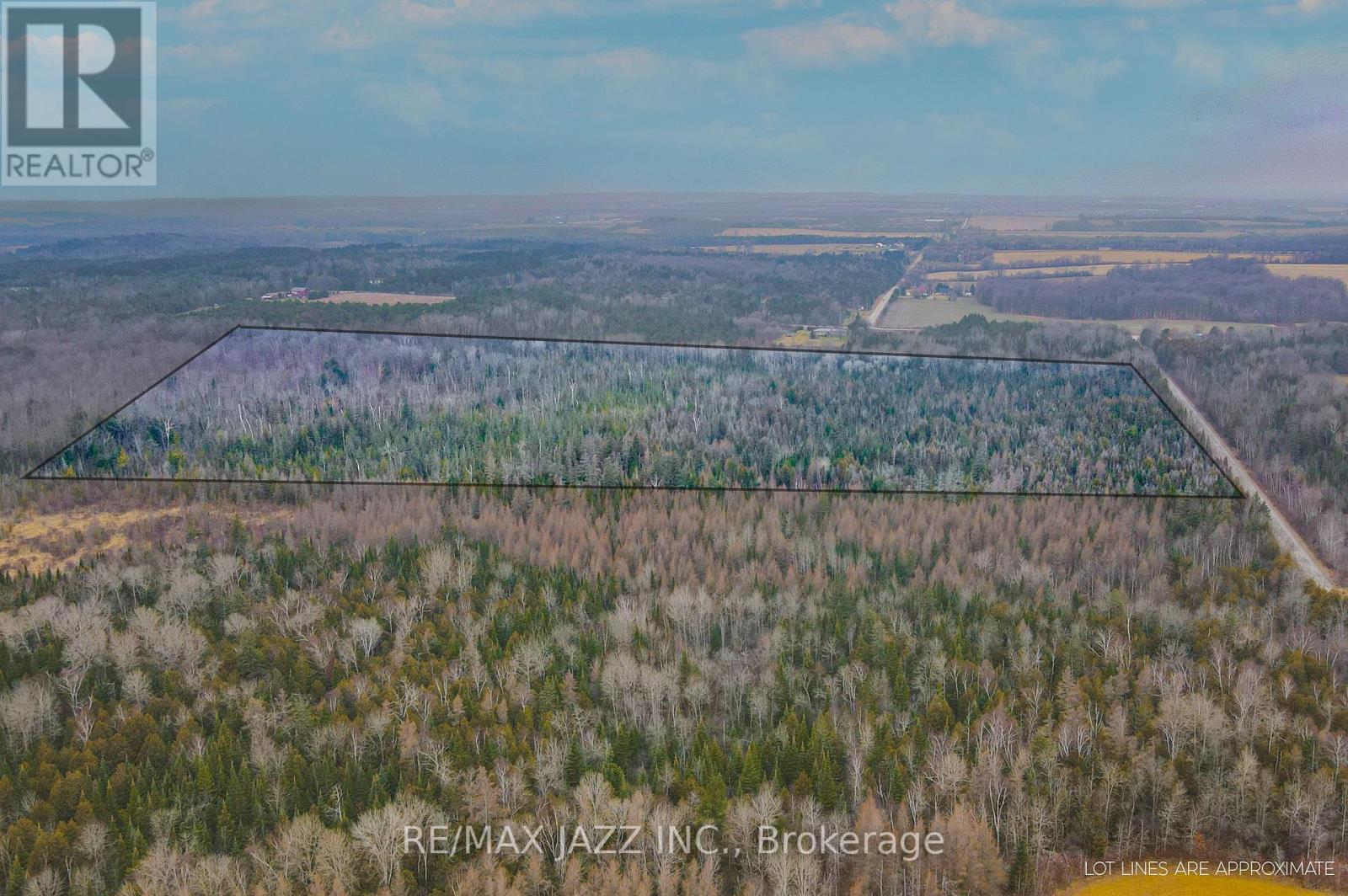 0 Ballyduff Road, Kawartha Lakes (Manvers), Ontario  L0A 1K0 - Photo 12 - E12596096