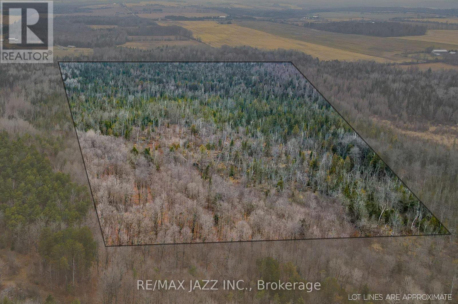 0 Ballyduff Road, Kawartha Lakes (Manvers), Ontario  L0A 1K0 - Photo 16 - E12596096