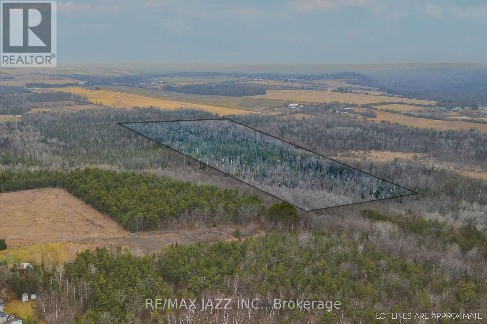 0 Ballyduff Road, Kawartha Lakes (Manvers), Ontario  L0A 1K0 - Photo 18 - E12596096