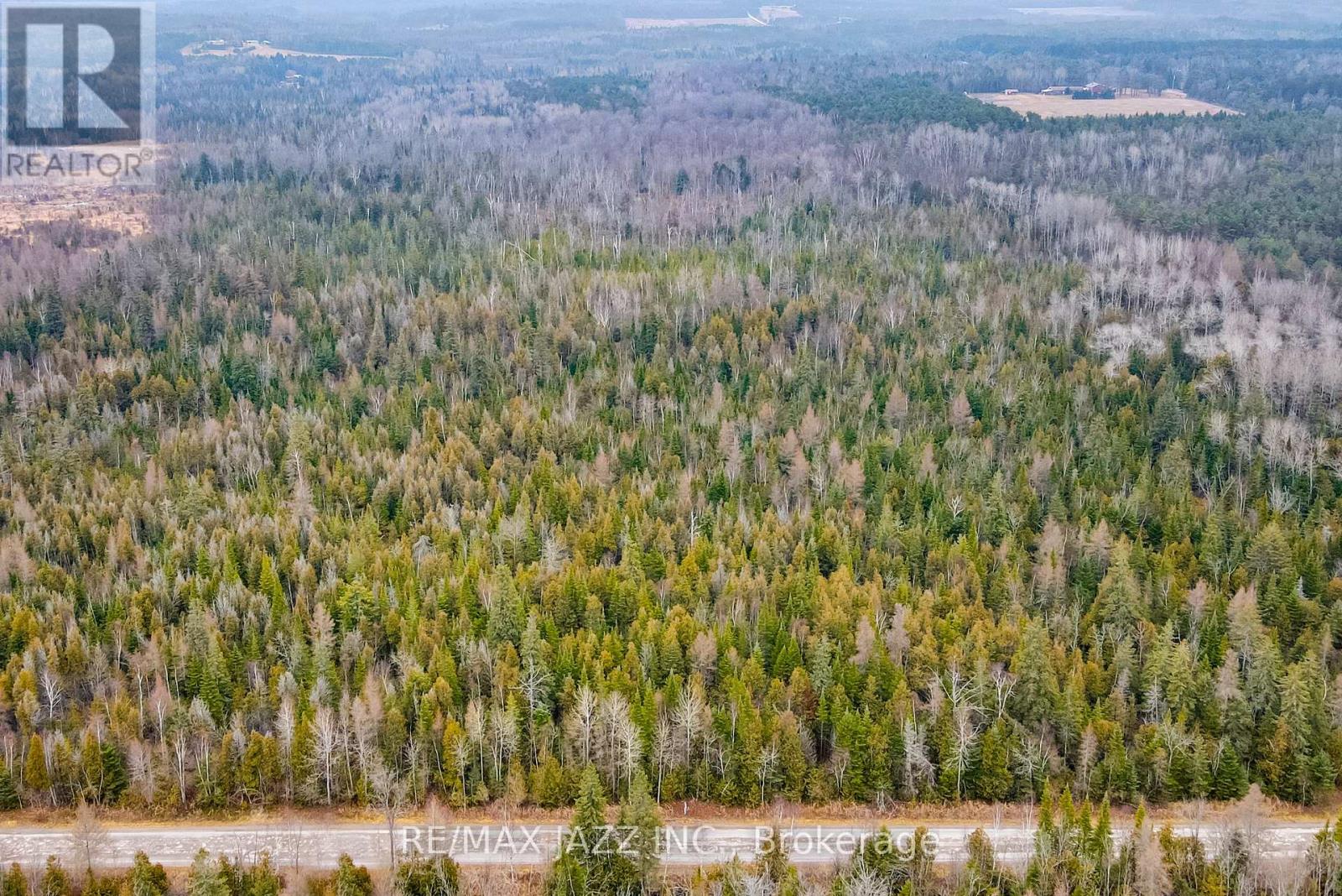 0 Ballyduff Road, Kawartha Lakes (Manvers), Ontario  L0A 1K0 - Photo 4 - E12596096