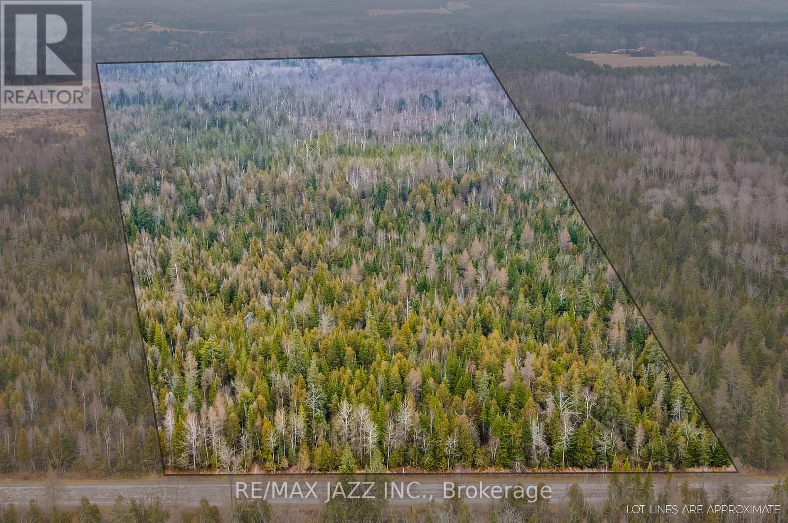 0 Ballyduff Road, Kawartha Lakes (Manvers), Ontario  L0A 1K0 - Photo 5 - E12596096