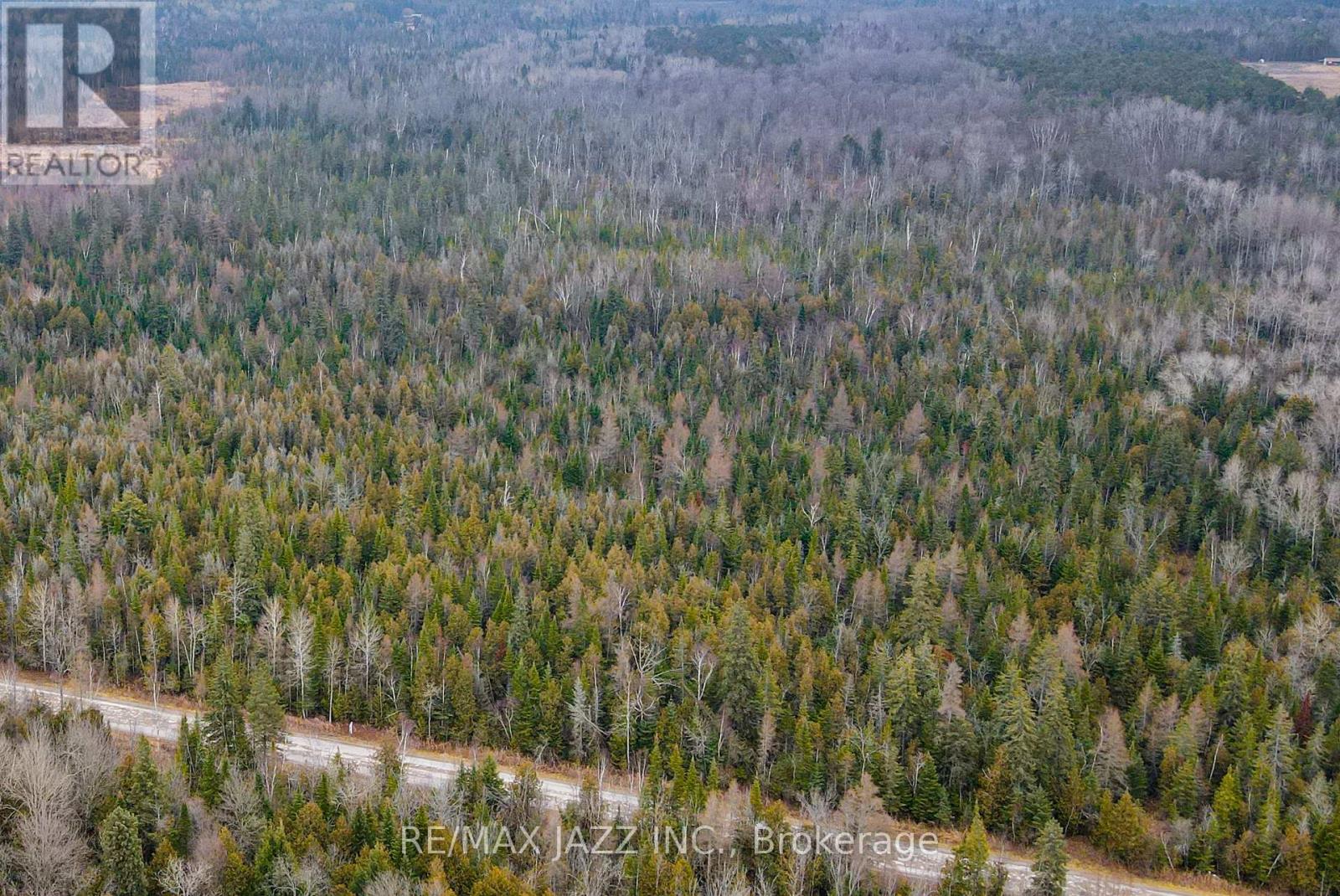 0 Ballyduff Road, Kawartha Lakes (Manvers), Ontario  L0A 1K0 - Photo 6 - E12596096