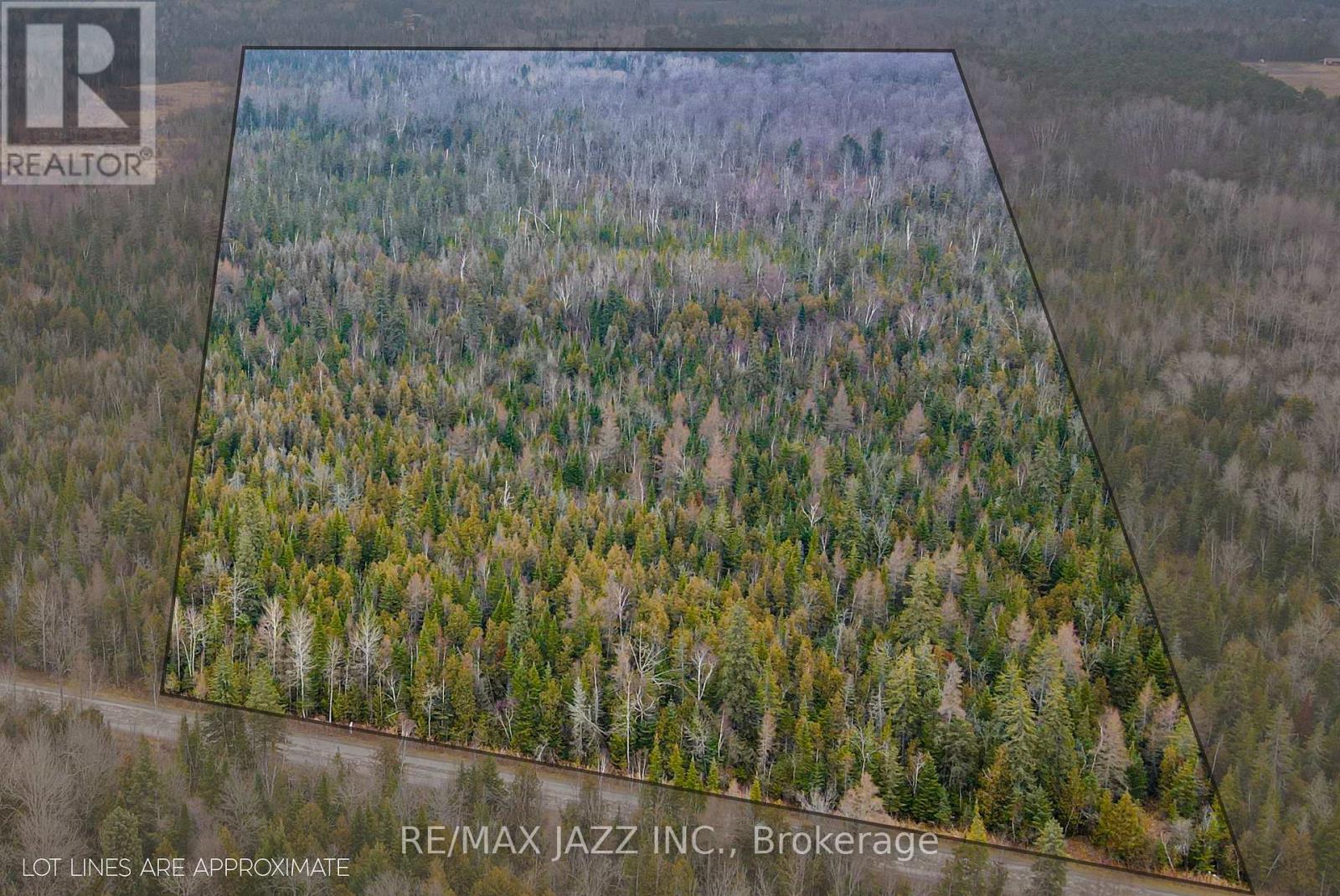 0 Ballyduff Road, Kawartha Lakes (Manvers), Ontario  L0A 1K0 - Photo 7 - E12596096