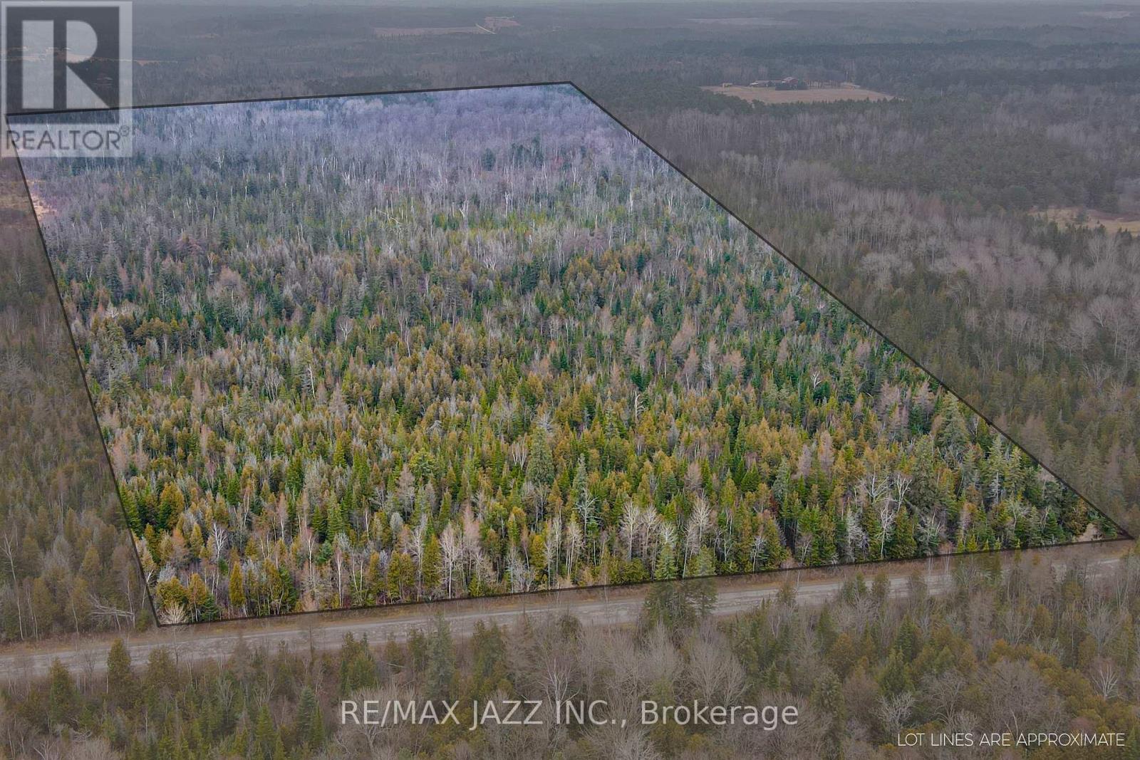 0 Ballyduff Road, Kawartha Lakes (Manvers), Ontario  L0A 1K0 - Photo 9 - E12596096