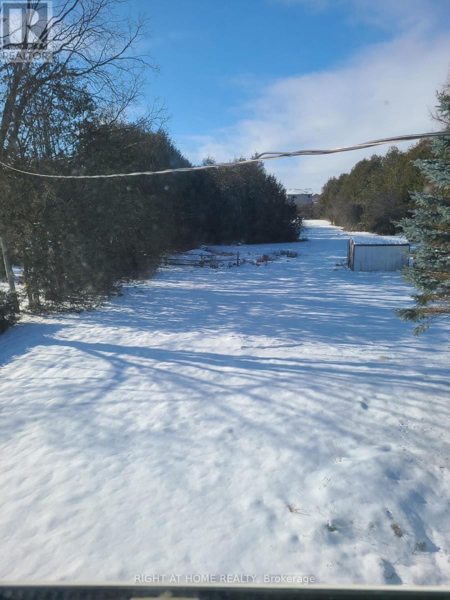 229 Angeline Street S, Kawartha Lakes (Lindsay), Ontario  K9V 4R2 - Photo 4 - X12598420