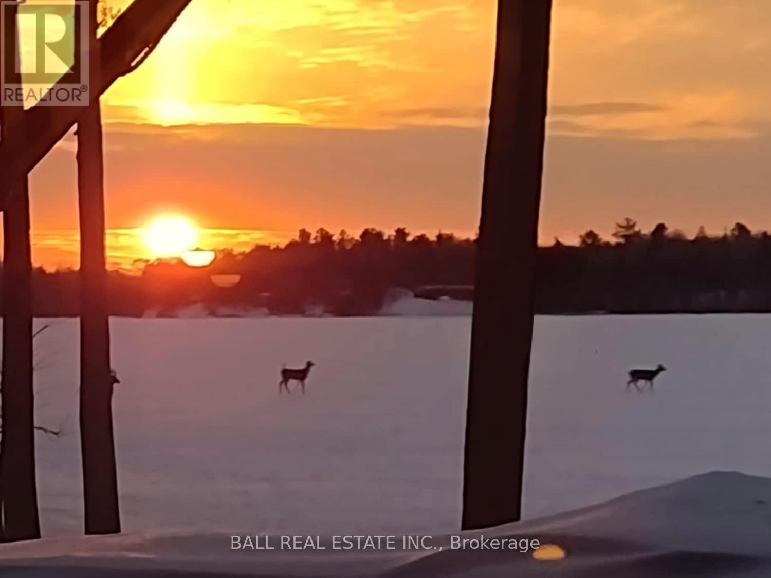 154 Julian Lake Road, North Kawartha, Ontario  K0L 3E0 - Photo 44 - X12601696