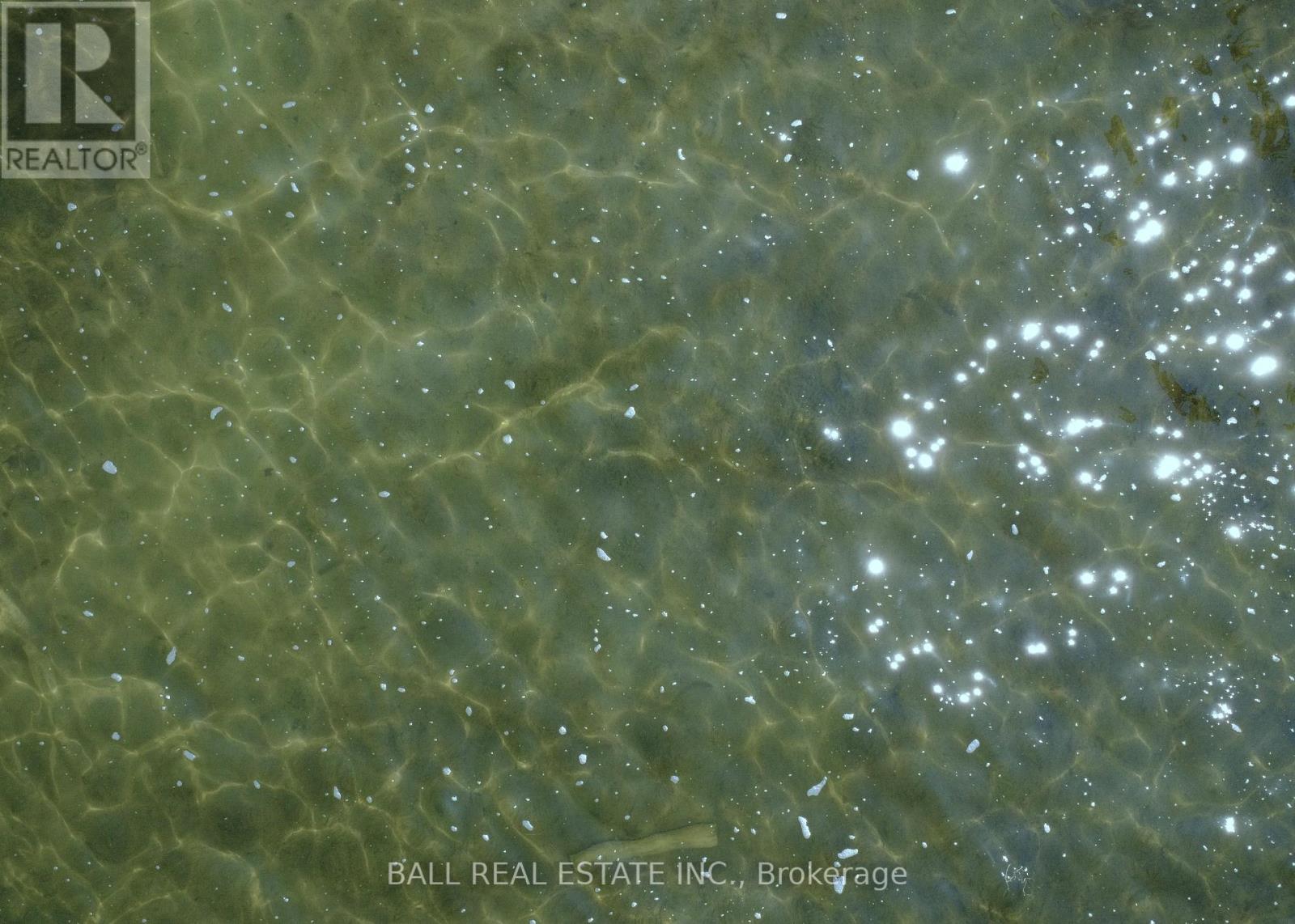 154 Julian Lake Road, North Kawartha, Ontario  K0L 3E0 - Photo 8 - X12601696