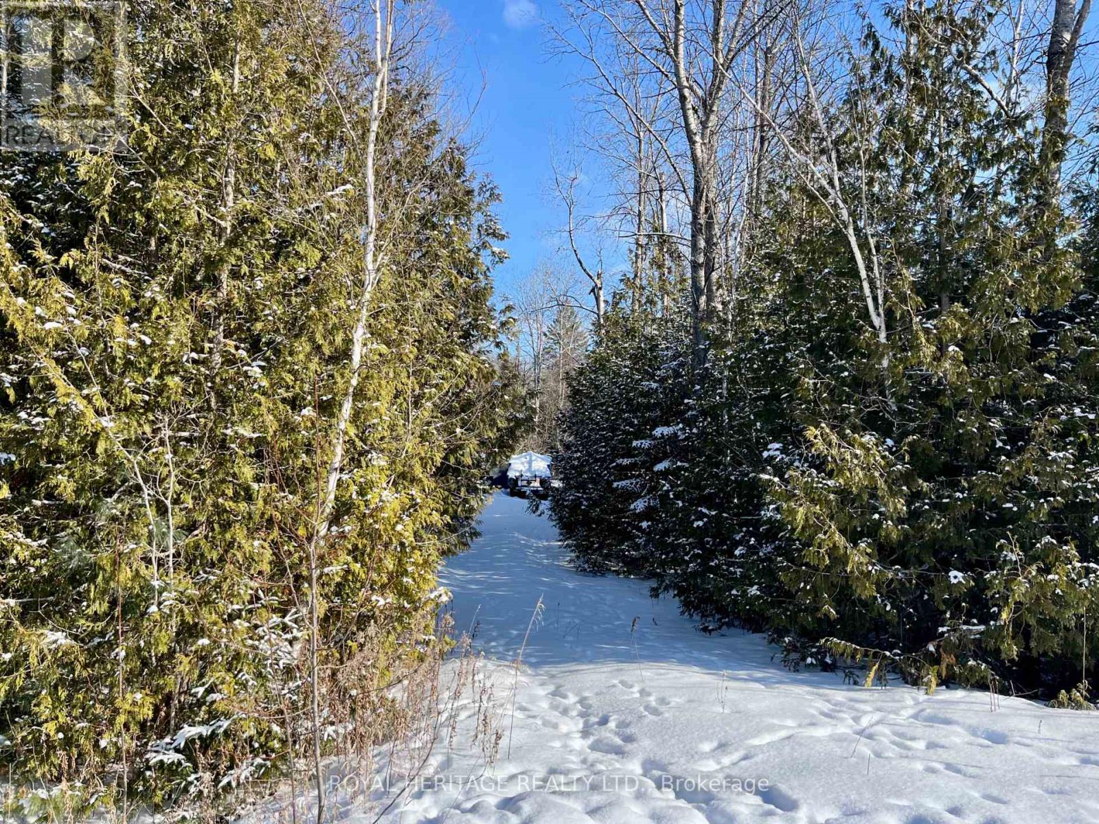 0 Sumcot Drive, Trent Lakes, Ontario  K9J 6X2 - Photo 1 - X12605618