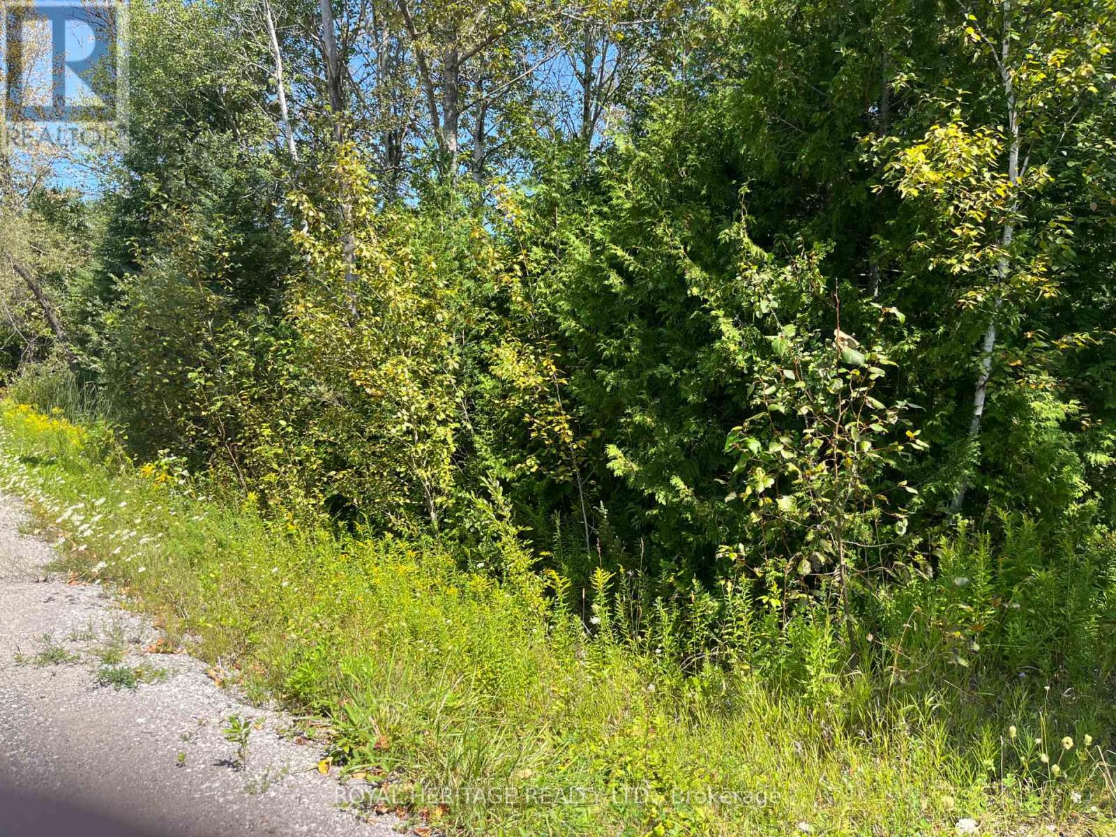 0 Sumcot Drive, Trent Lakes, Ontario  K9J 6X2 - Photo 6 - X12605618