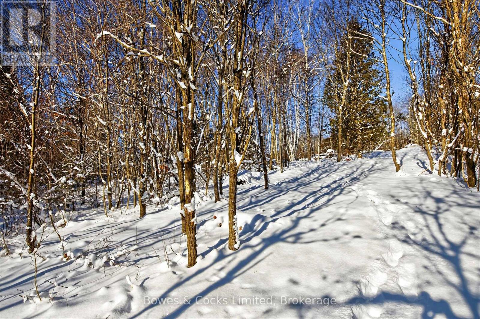 1350 Madill Road, Highlands East (Monmouth), Ontario  K0L 2Y0 - Photo 25 - X12606290