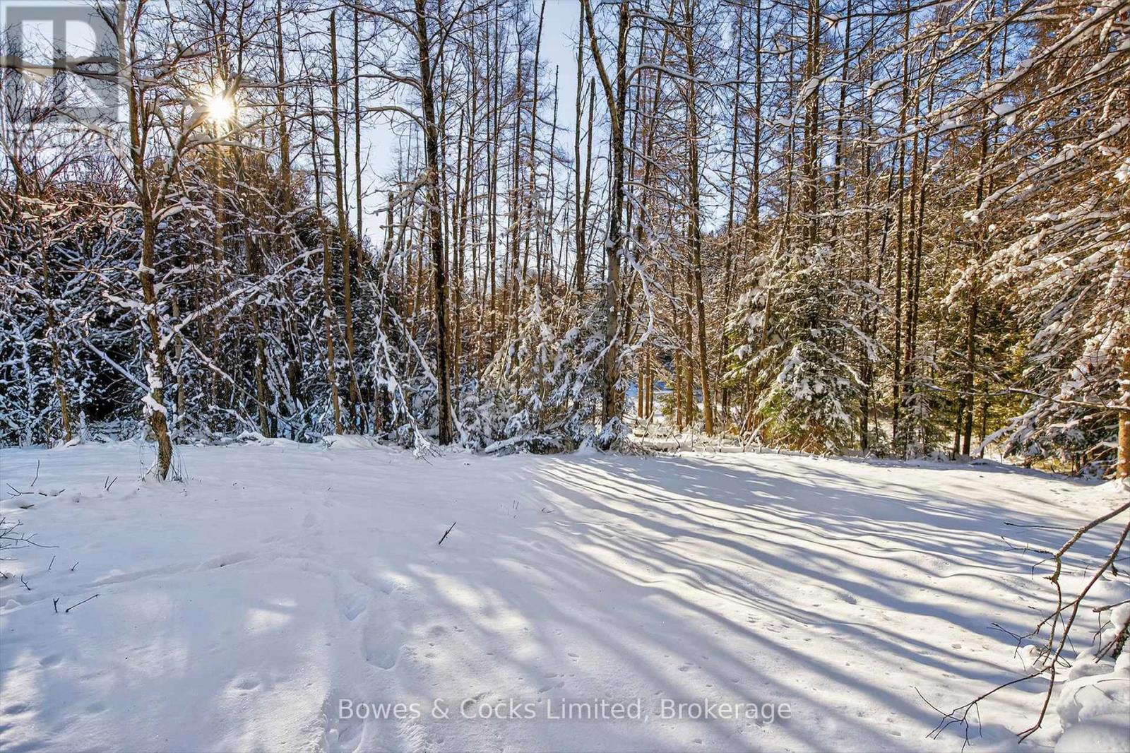 1350 Madill Road, Highlands East (Monmouth), Ontario  K0L 2Y0 - Photo 27 - X12606290