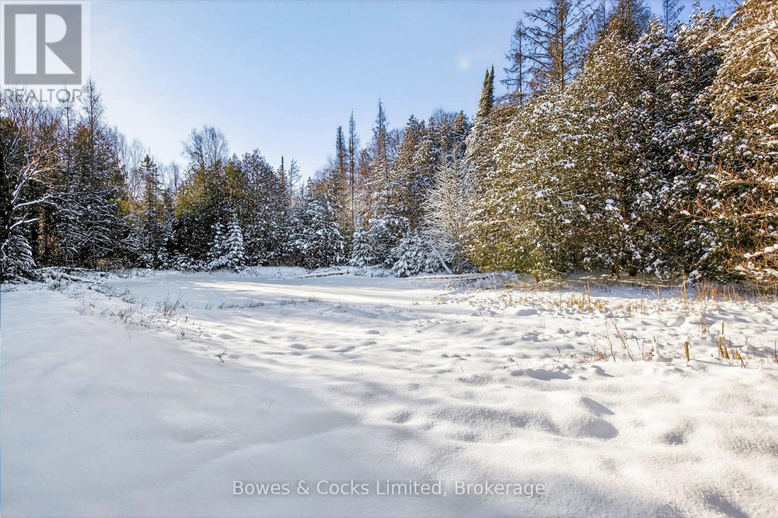 1350 Madill Road, Highlands East (Monmouth), Ontario  K0L 2Y0 - Photo 28 - X12606290