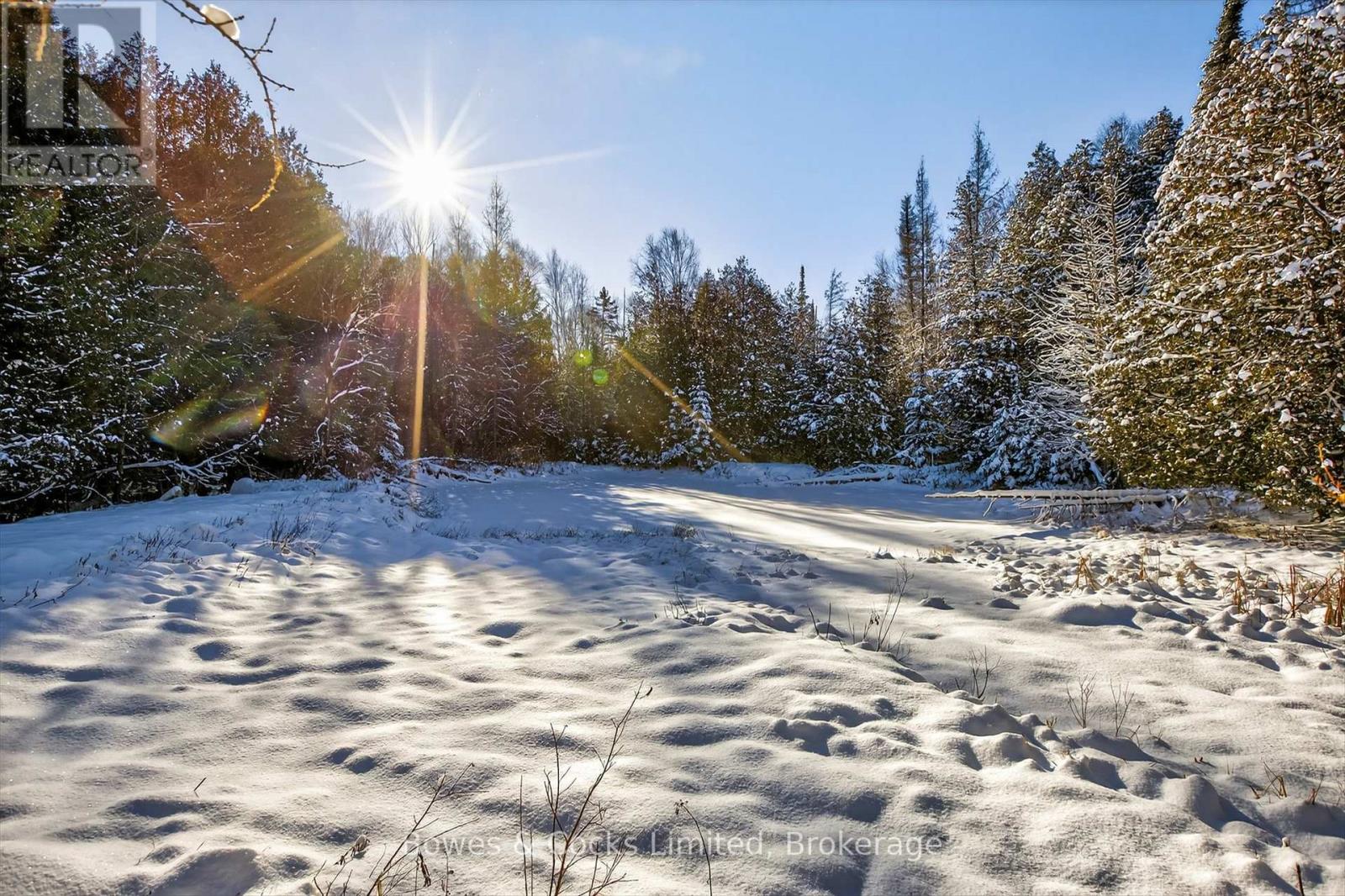 1350 Madill Road, Highlands East (Monmouth), Ontario  K0L 2Y0 - Photo 29 - X12606290