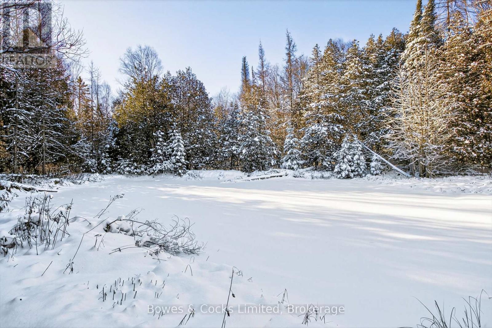 1350 Madill Road, Highlands East (Monmouth), Ontario  K0L 2Y0 - Photo 30 - X12606290