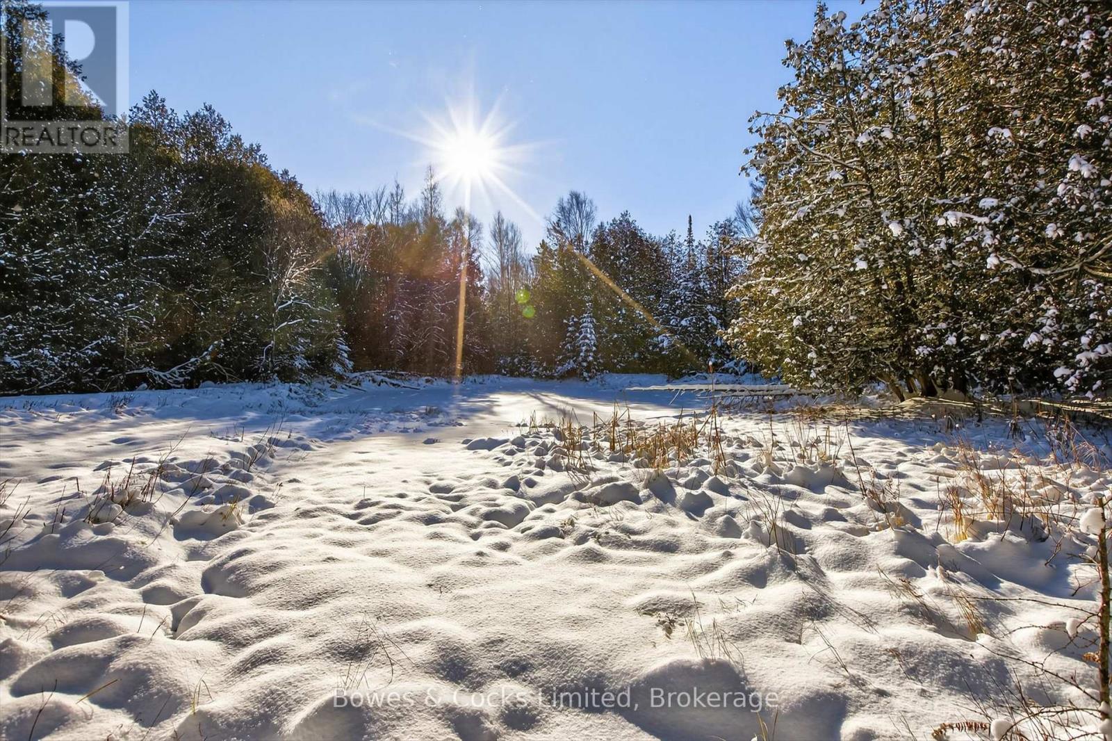 1350 Madill Road, Highlands East (Monmouth), Ontario  K0L 2Y0 - Photo 31 - X12606290