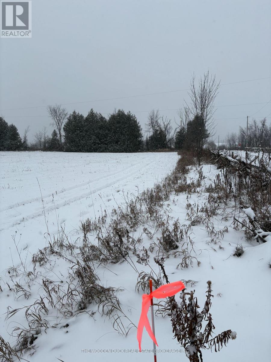 0 Cooney Island Road, Douro-Dummer, Ontario  K0L 2H0 - Photo 2 - X12610942