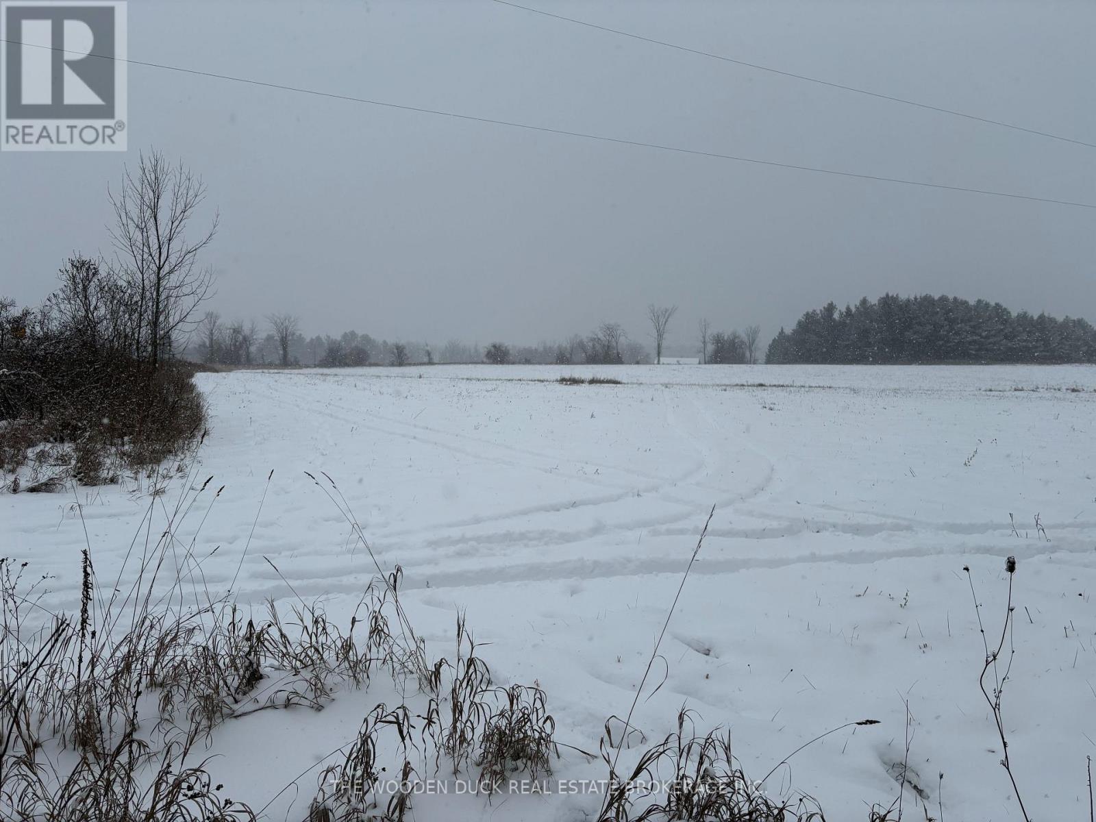 0 Cooney Island Road, Douro-Dummer, Ontario  K0L 2H0 - Photo 6 - X12610942