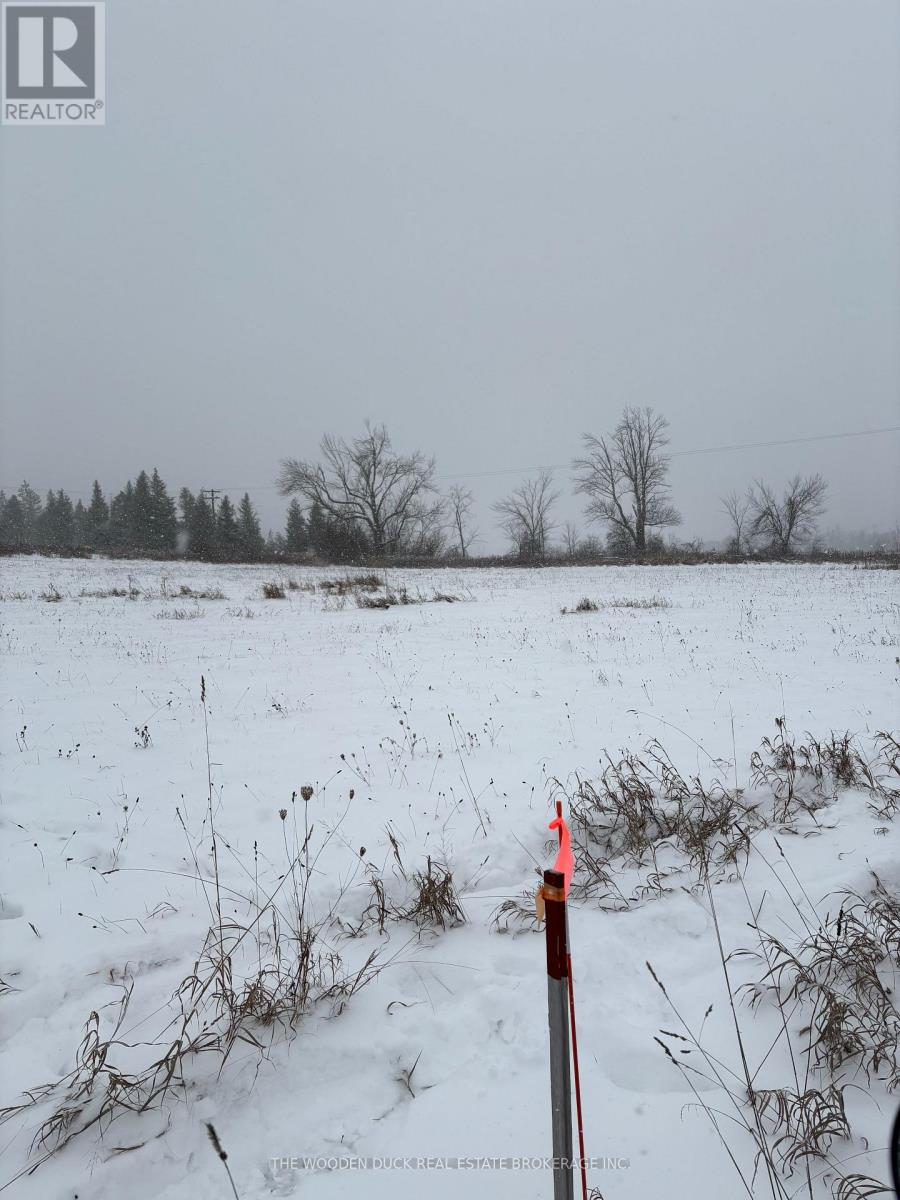 0 Douro Third Line, Douro-Dummer, Ontario  K0L 2H0 - Photo 4 - X12610946