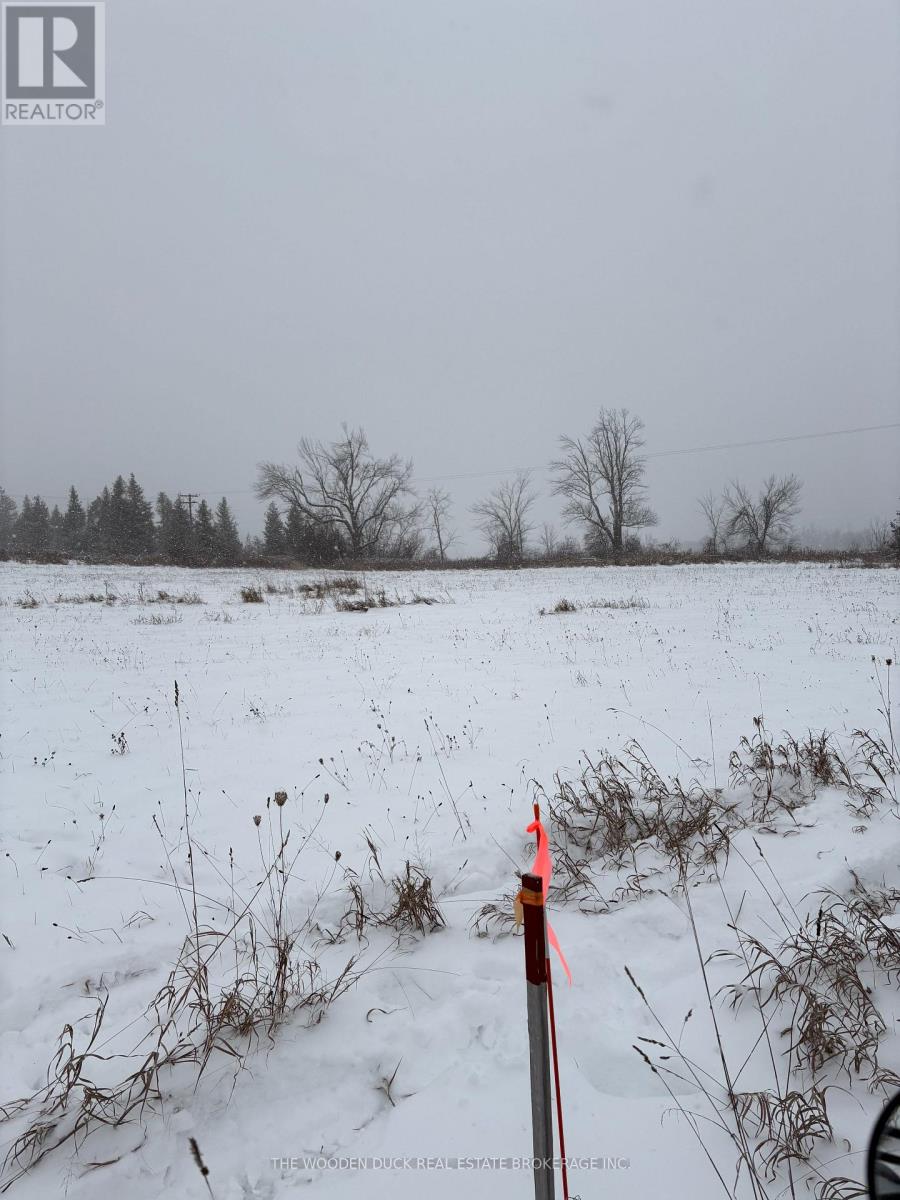 0 Douro Third Line, Douro-Dummer, Ontario  K0L 2H0 - Photo 5 - X12610946