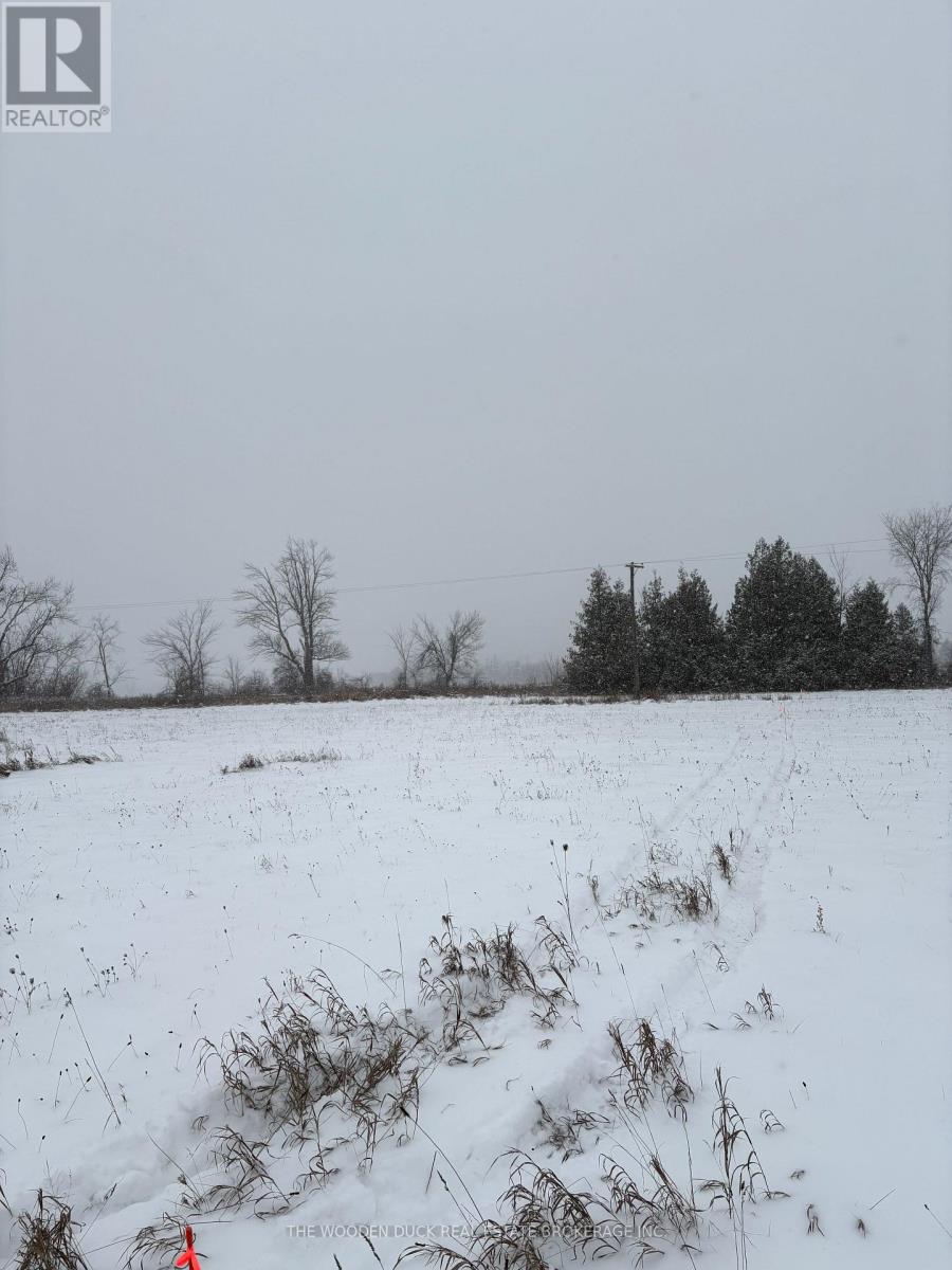 0 Douro Third Line, Douro-Dummer, Ontario  K0L 2H0 - Photo 7 - X12610946