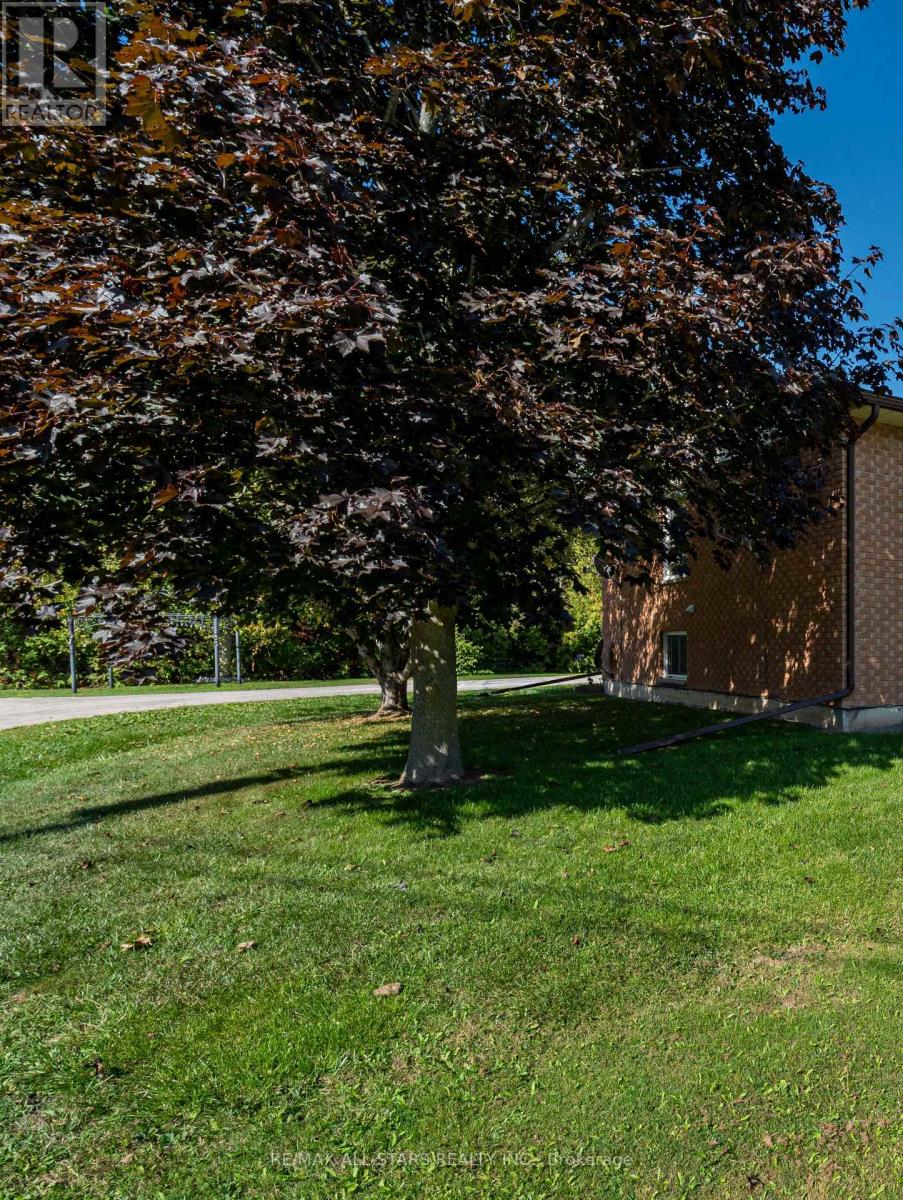 103 D Rita Crescent, Kawartha Lakes (Omemee), Ontario  K0L 2W0 - Photo 17 - X12612006