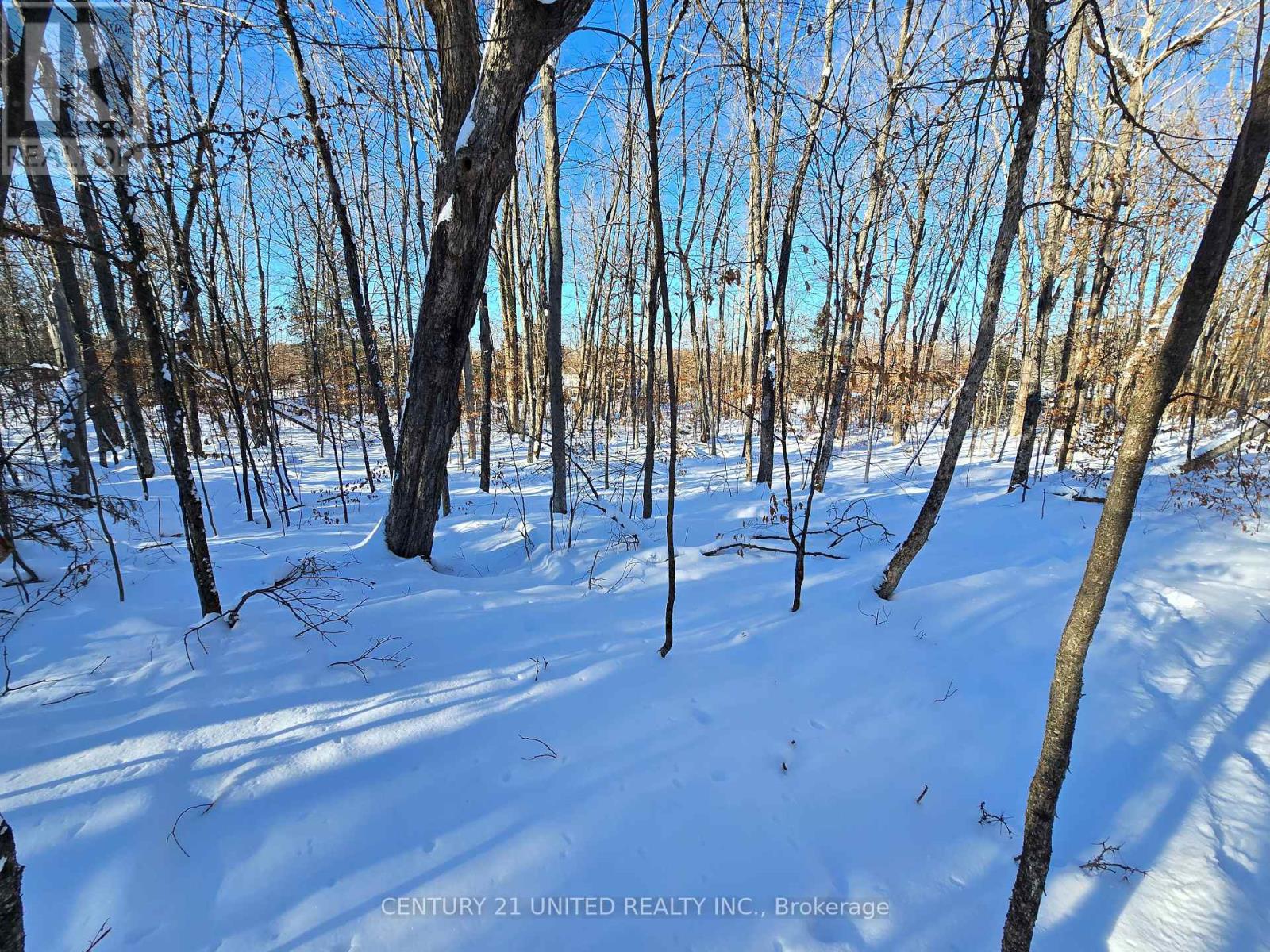 81 Vansickle Trail, Havelock-Belmont-Methuen, Ontario  K0L 1Z0 - Photo 12 - X12612322