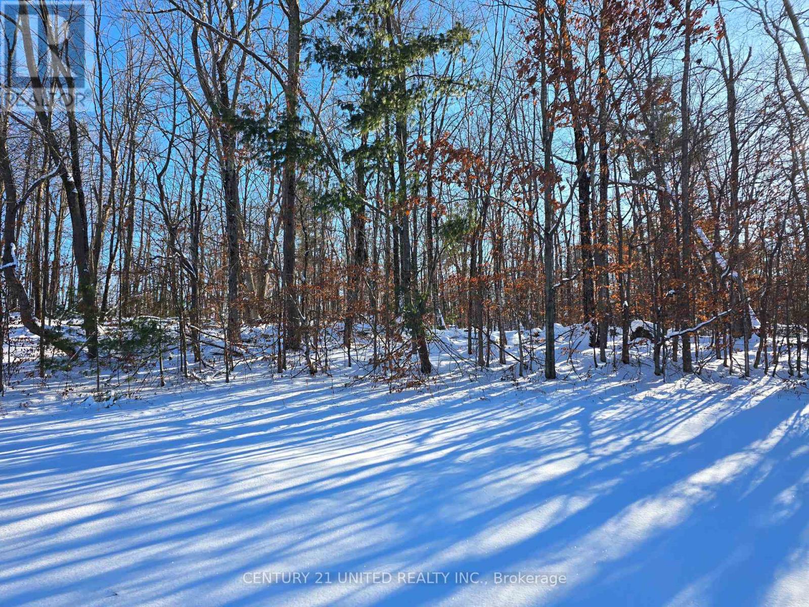 81 Vansickle Trail, Havelock-Belmont-Methuen, Ontario  K0L 1Z0 - Photo 2 - X12612322