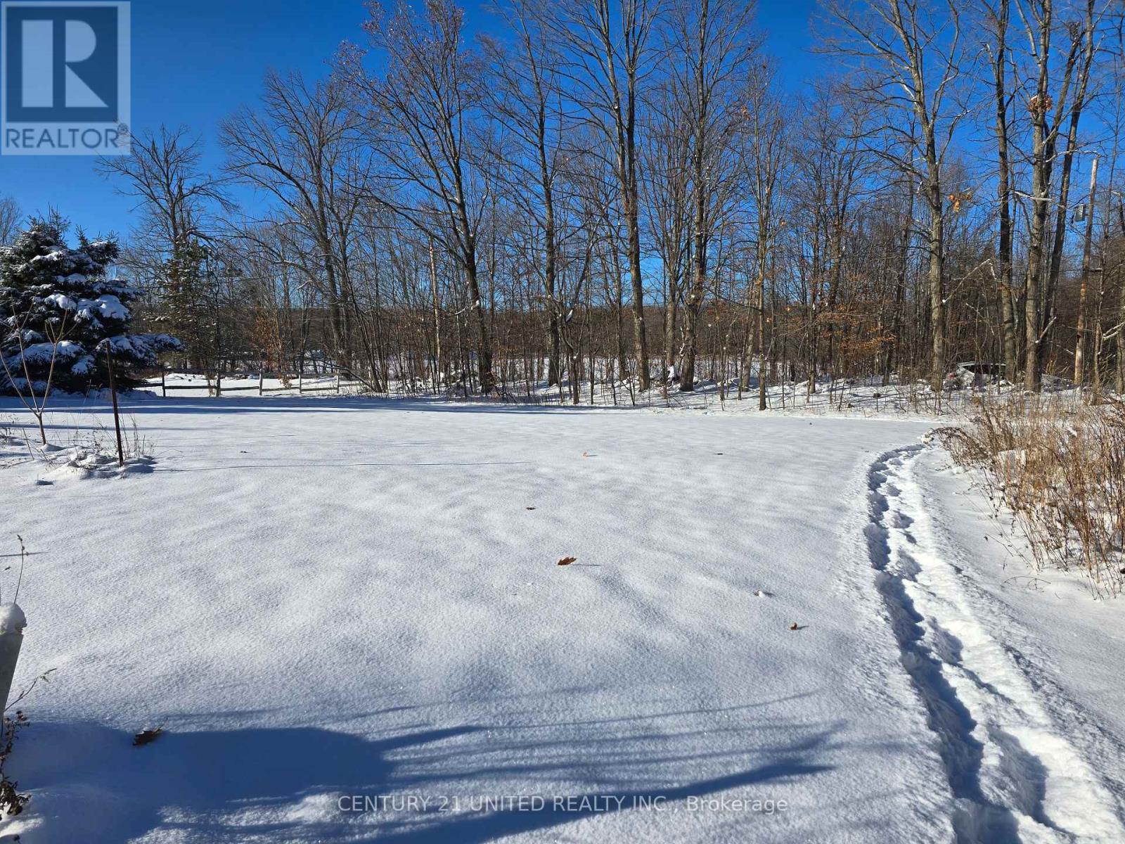 81 Vansickle Trail, Havelock-Belmont-Methuen, Ontario  K0L 1Z0 - Photo 3 - X12612322