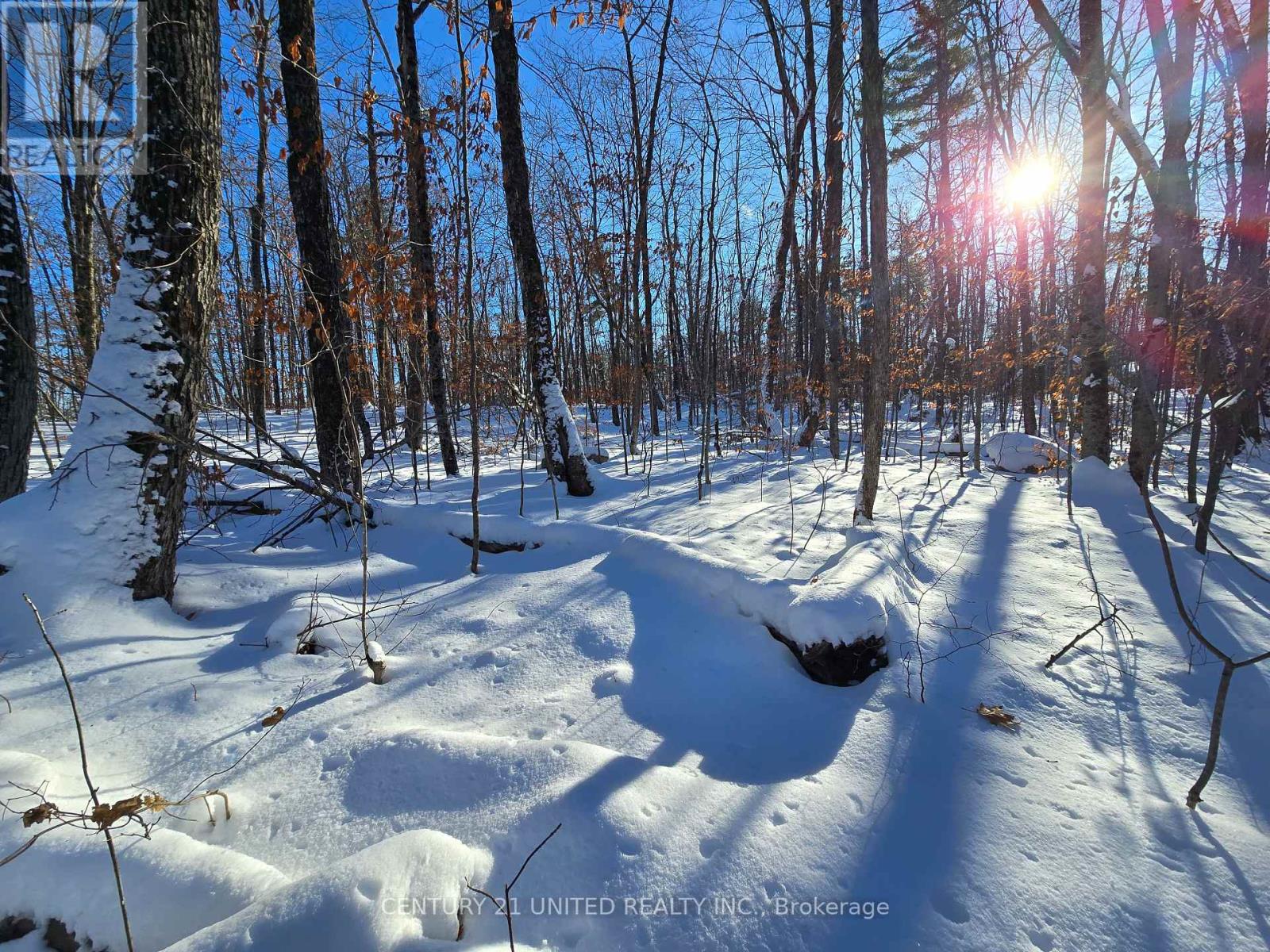 81 Vansickle Trail, Havelock-Belmont-Methuen, Ontario  K0L 1Z0 - Photo 5 - X12612322