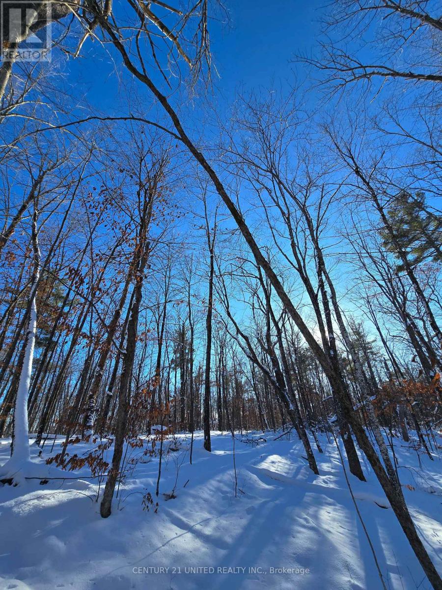 81 Vansickle Trail, Havelock-Belmont-Methuen, Ontario  K0L 1Z0 - Photo 6 - X12612322