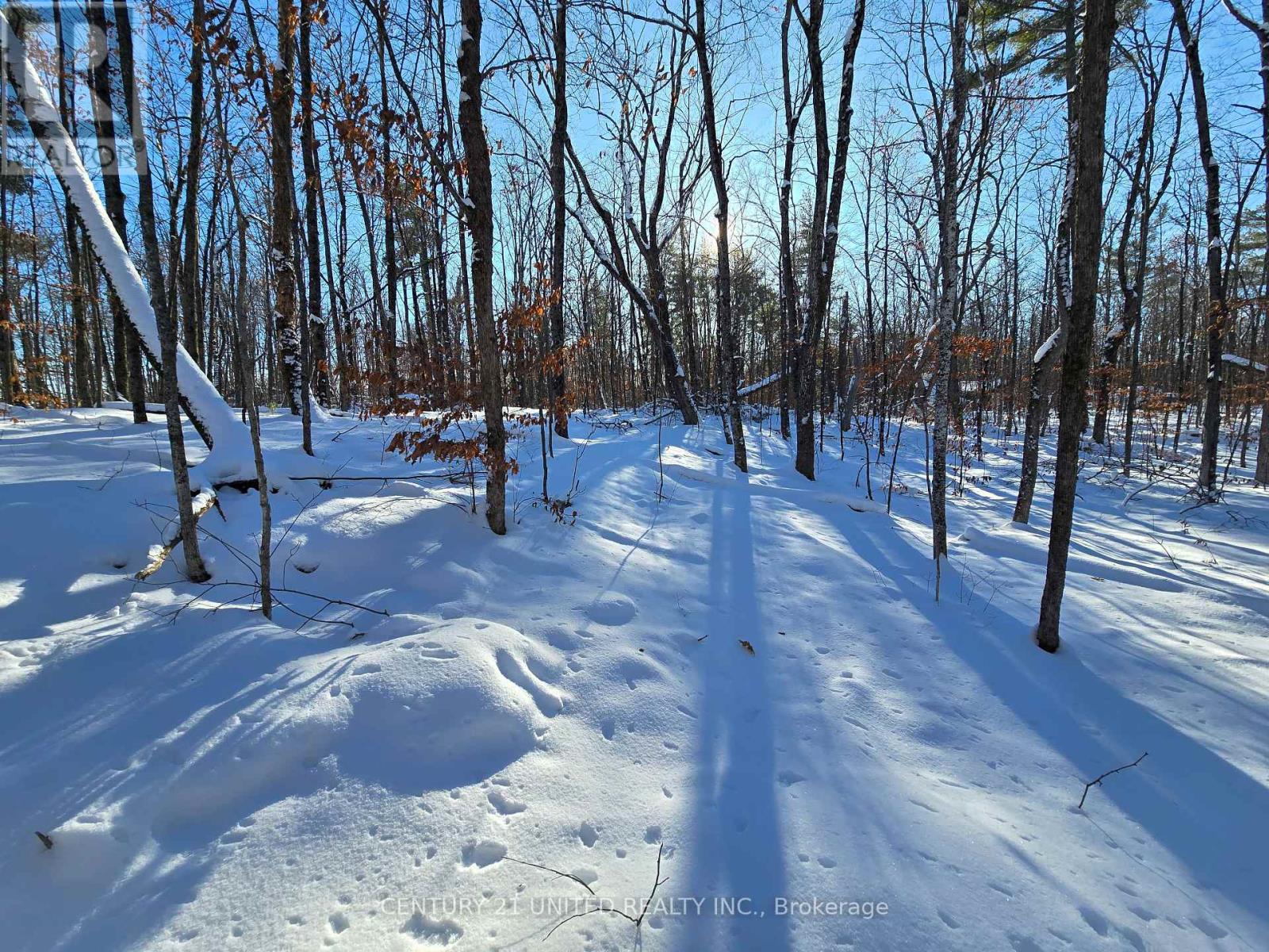 81 Vansickle Trail, Havelock-Belmont-Methuen, Ontario  K0L 1Z0 - Photo 8 - X12612322