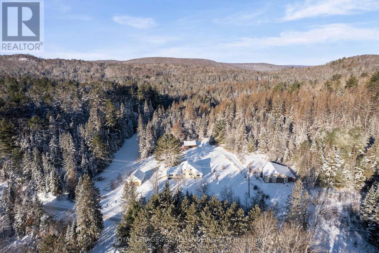 169 Burlanyett Road, Hastings Highlands (Wicklow Ward), Ontario  K0L 2R0 - Photo 11 - X12613224