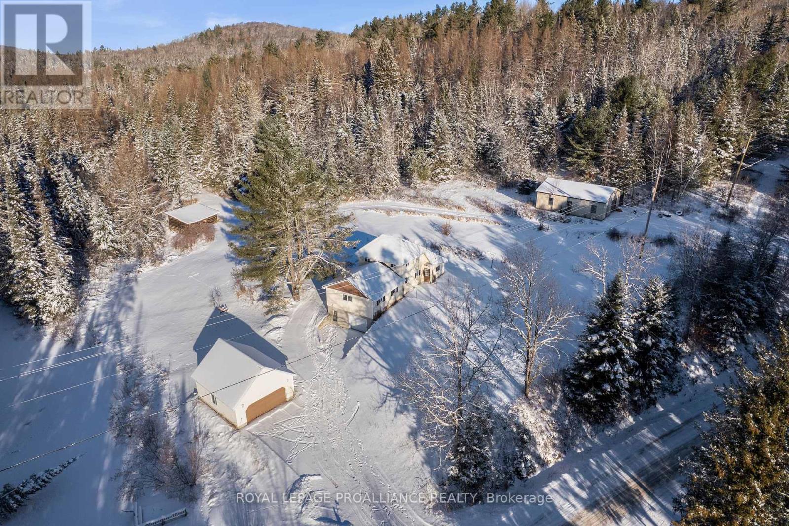 169 Burlanyett Road, Hastings Highlands (Wicklow Ward), Ontario  K0L 2R0 - Photo 14 - X12613224