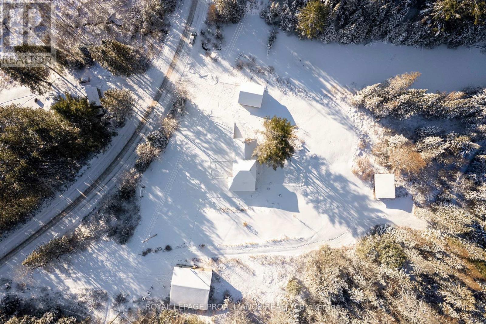 169 Burlanyett Road, Hastings Highlands (Wicklow Ward), Ontario  K0L 2R0 - Photo 15 - X12613224