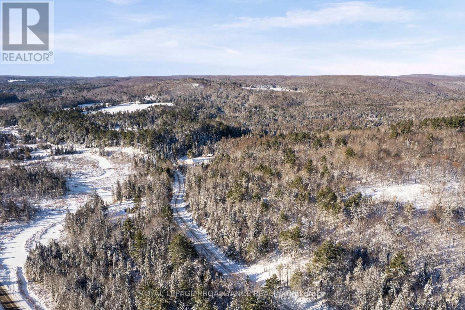 169 Burlanyett Road, Hastings Highlands (Wicklow Ward), Ontario  K0L 2R0 - Photo 17 - X12613224