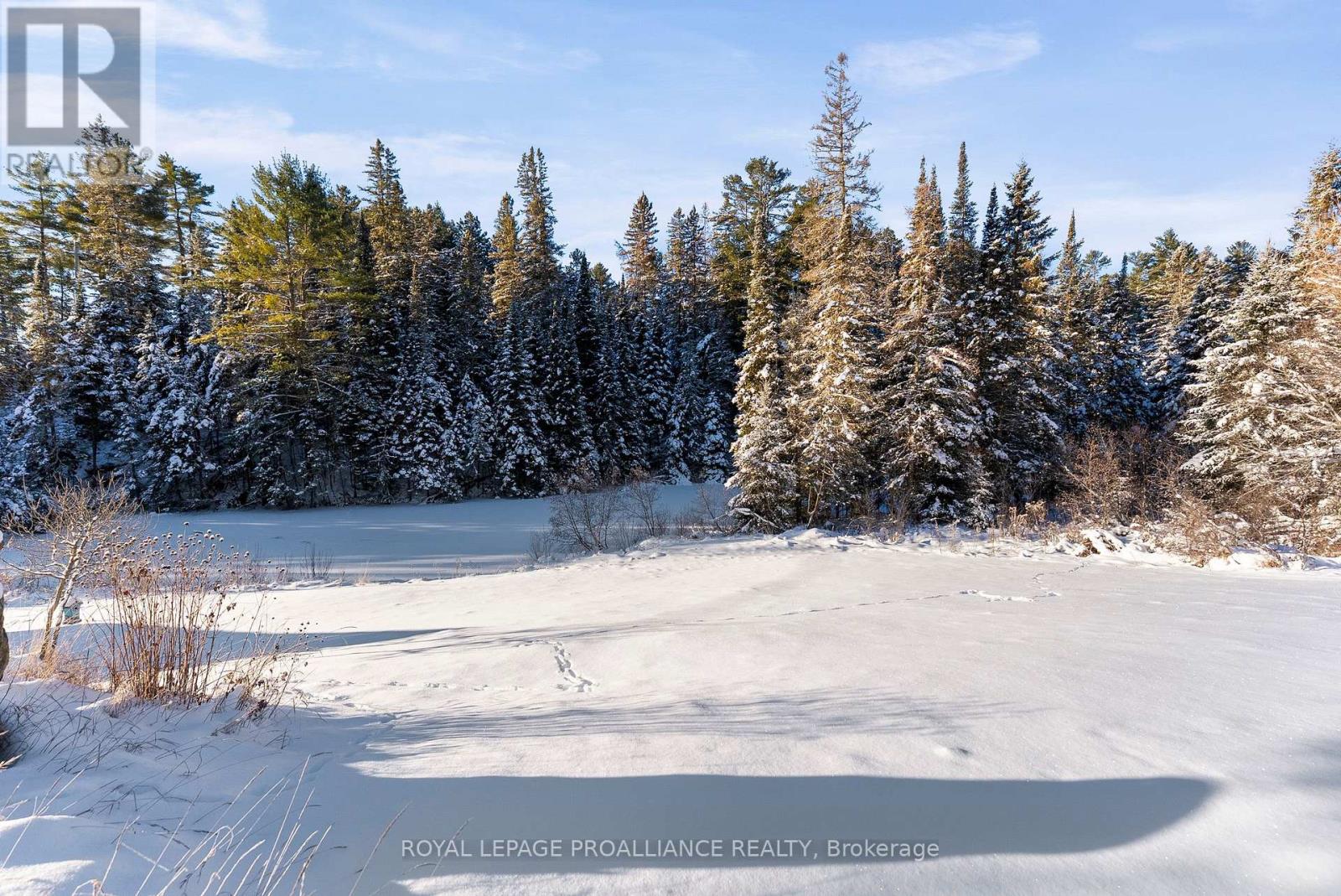 169 Burlanyett Road, Hastings Highlands (Wicklow Ward), Ontario  K0L 2R0 - Photo 22 - X12613224