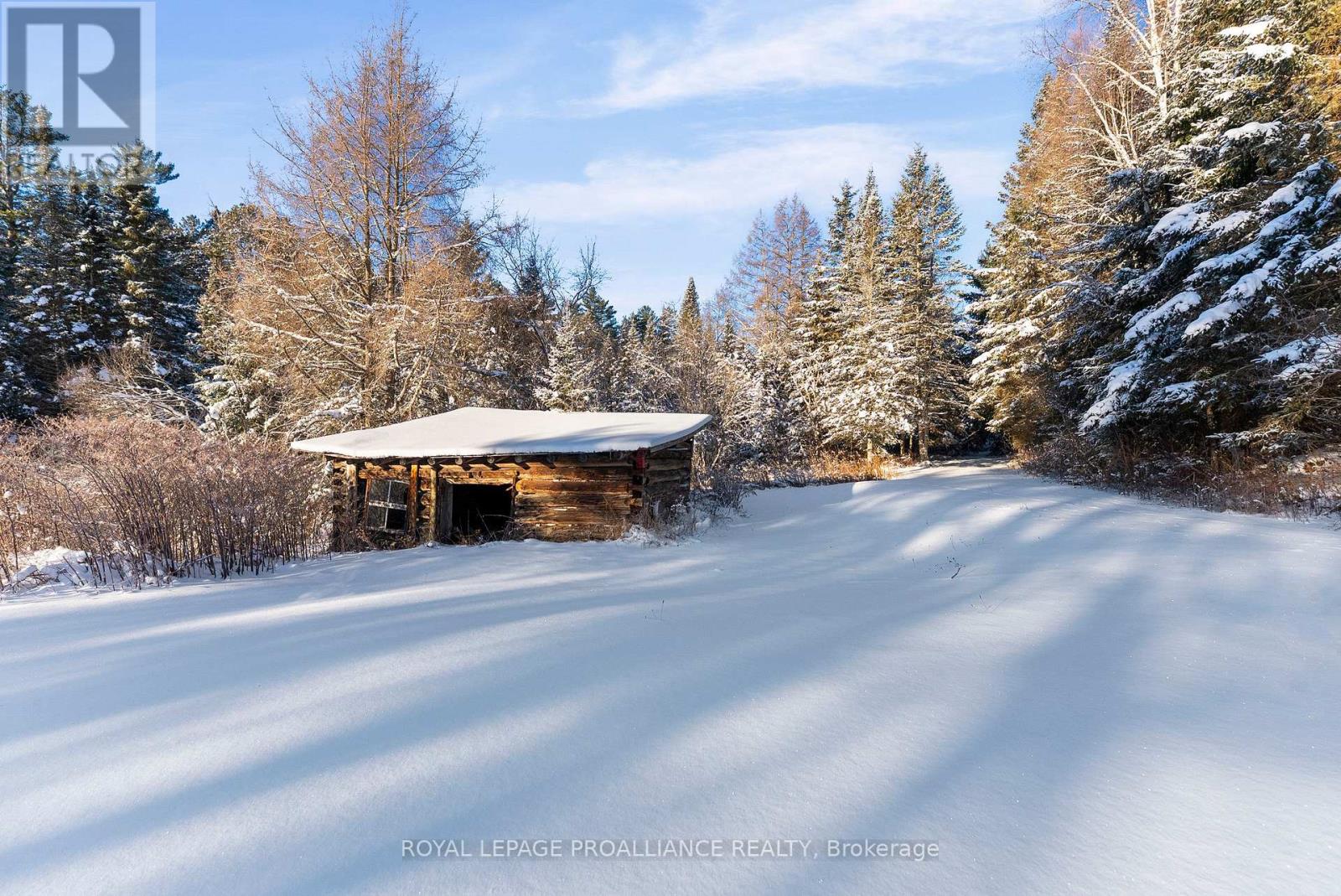 169 Burlanyett Road, Hastings Highlands (Wicklow Ward), Ontario  K0L 2R0 - Photo 23 - X12613224