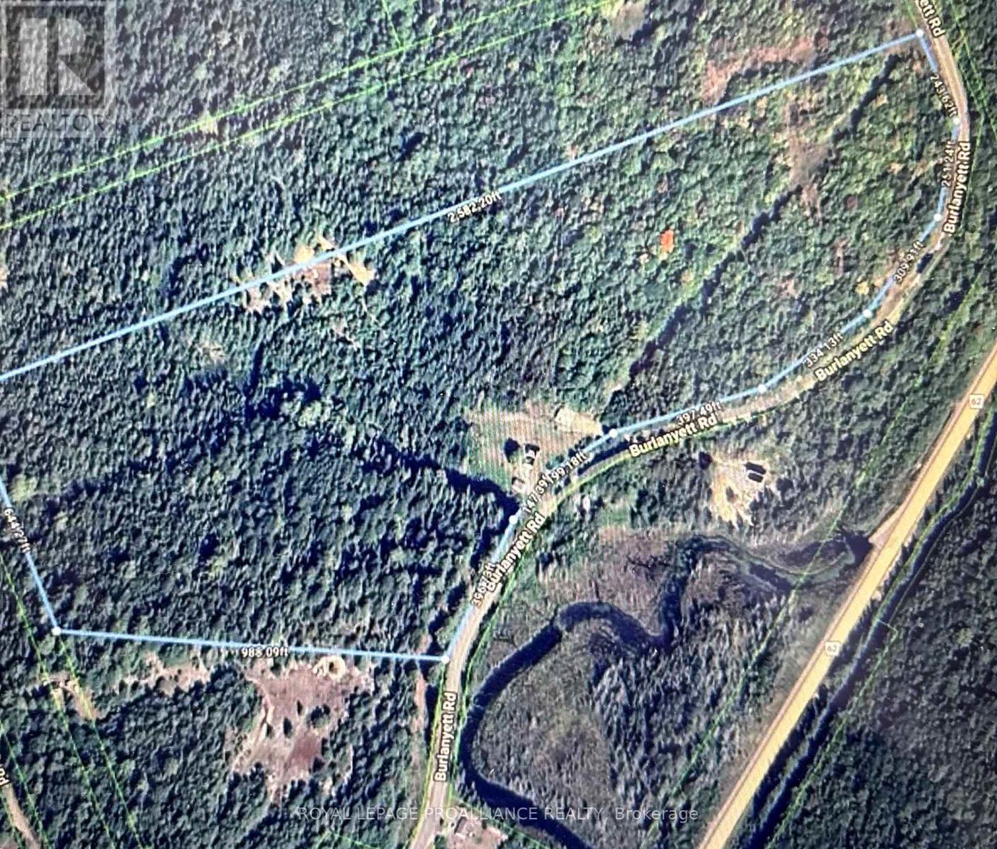 169 Burlanyett Road, Hastings Highlands (Wicklow Ward), Ontario  K0L 2R0 - Photo 48 - X12613224