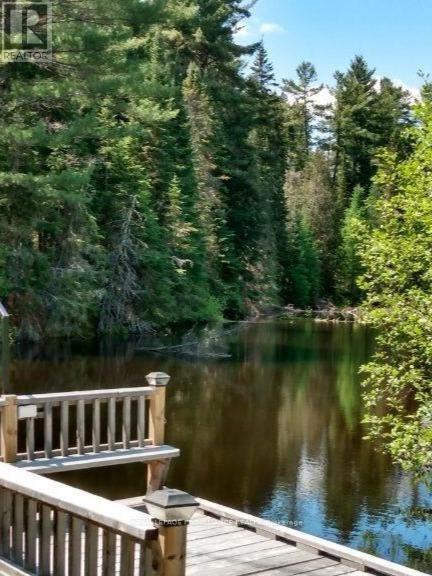 169 Burlanyett Road, Hastings Highlands (Wicklow Ward), Ontario  K0L 2R0 - Photo 6 - X12613224