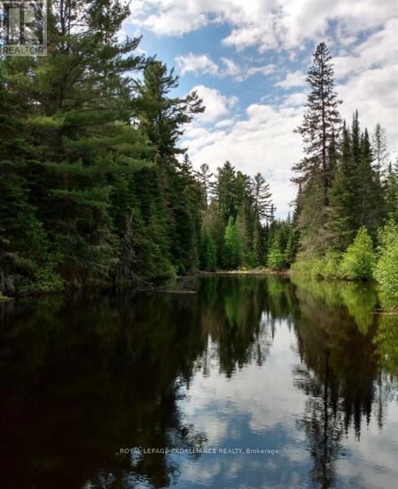 169 Burlanyett Road, Hastings Highlands (Wicklow Ward), Ontario  K0L 2R0 - Photo 7 - X12613224