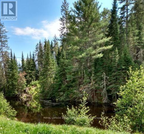 169 Burlanyett Road, Hastings Highlands (Wicklow Ward), Ontario  K0L 2R0 - Photo 8 - X12613224